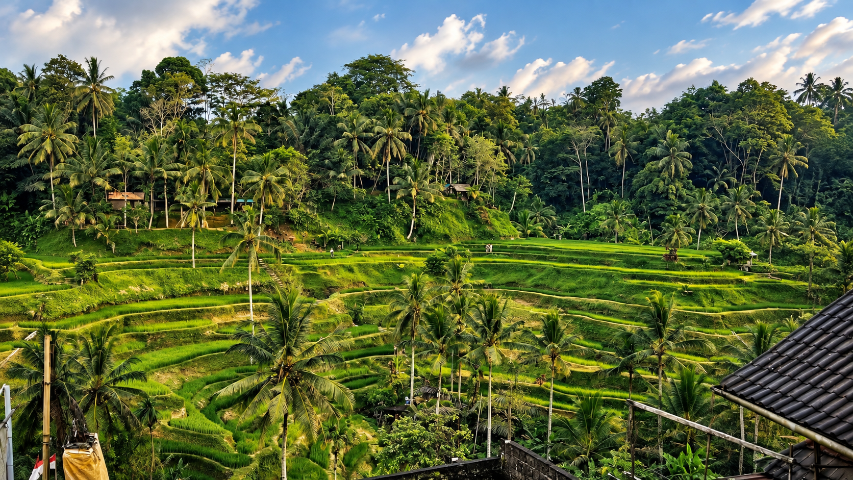 Risaie terrazzate tropicali circondate da palme da cocco e foresta lussureggiante sotto un cielo azzurro