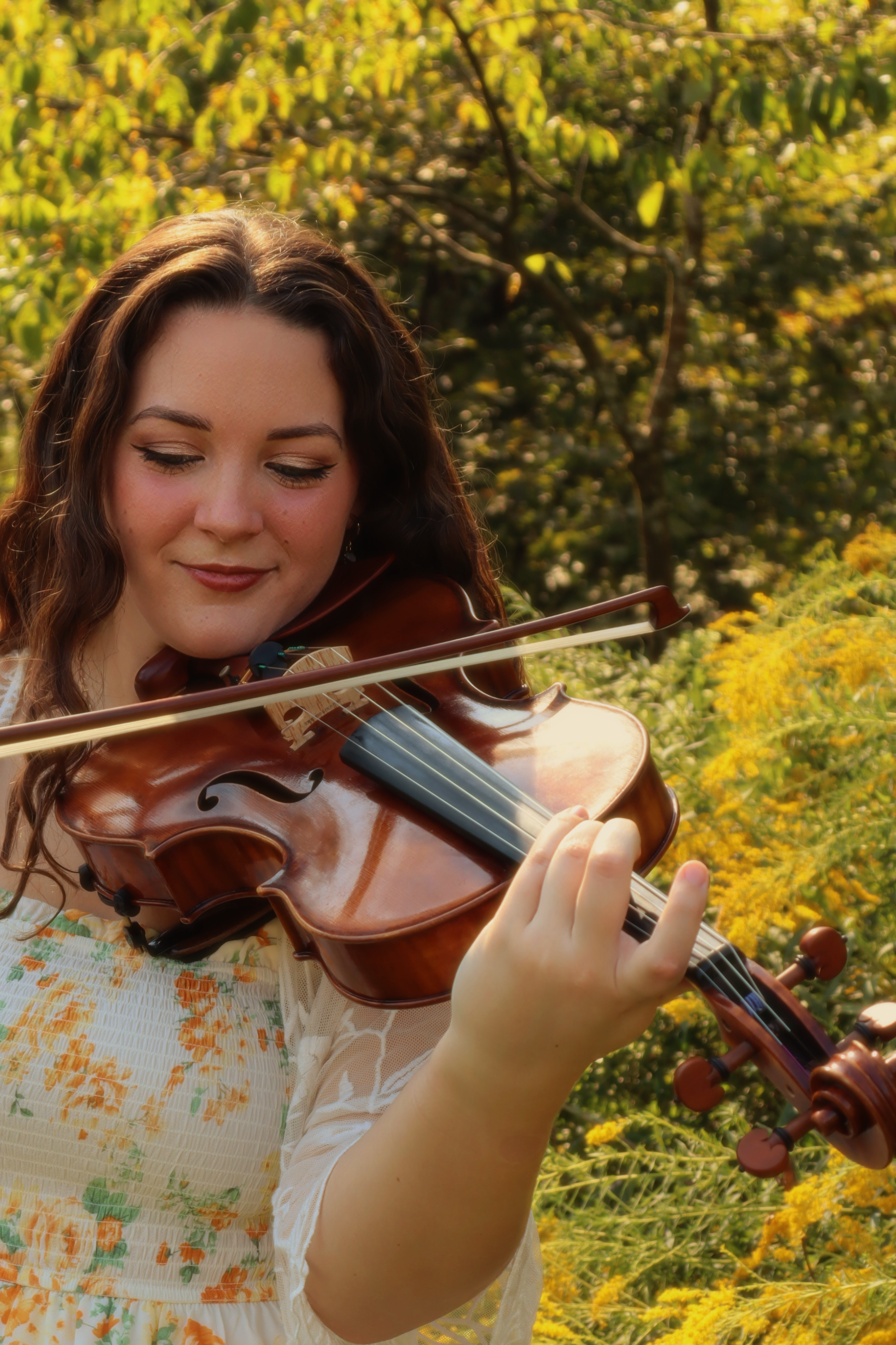 Viola Lessons
