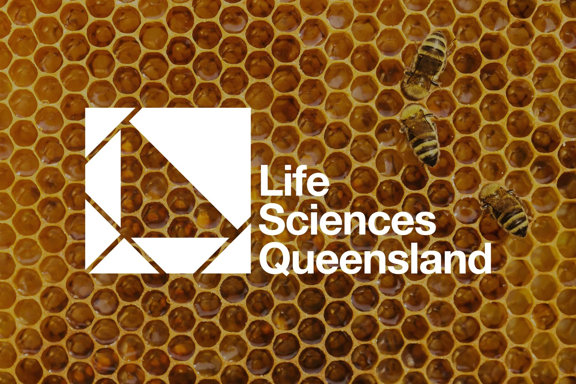 Life Sciences Queensland