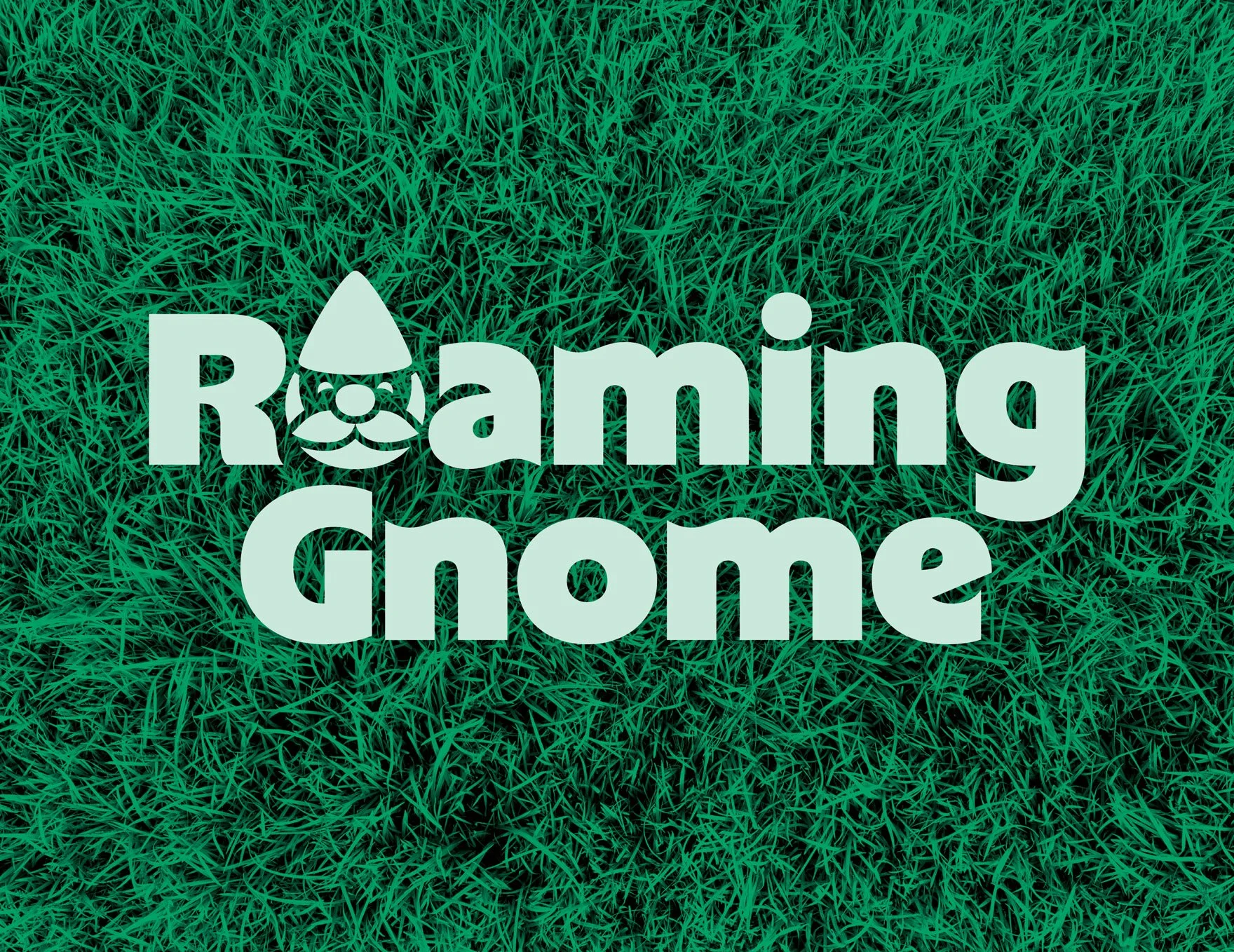 Roaming Gnome
