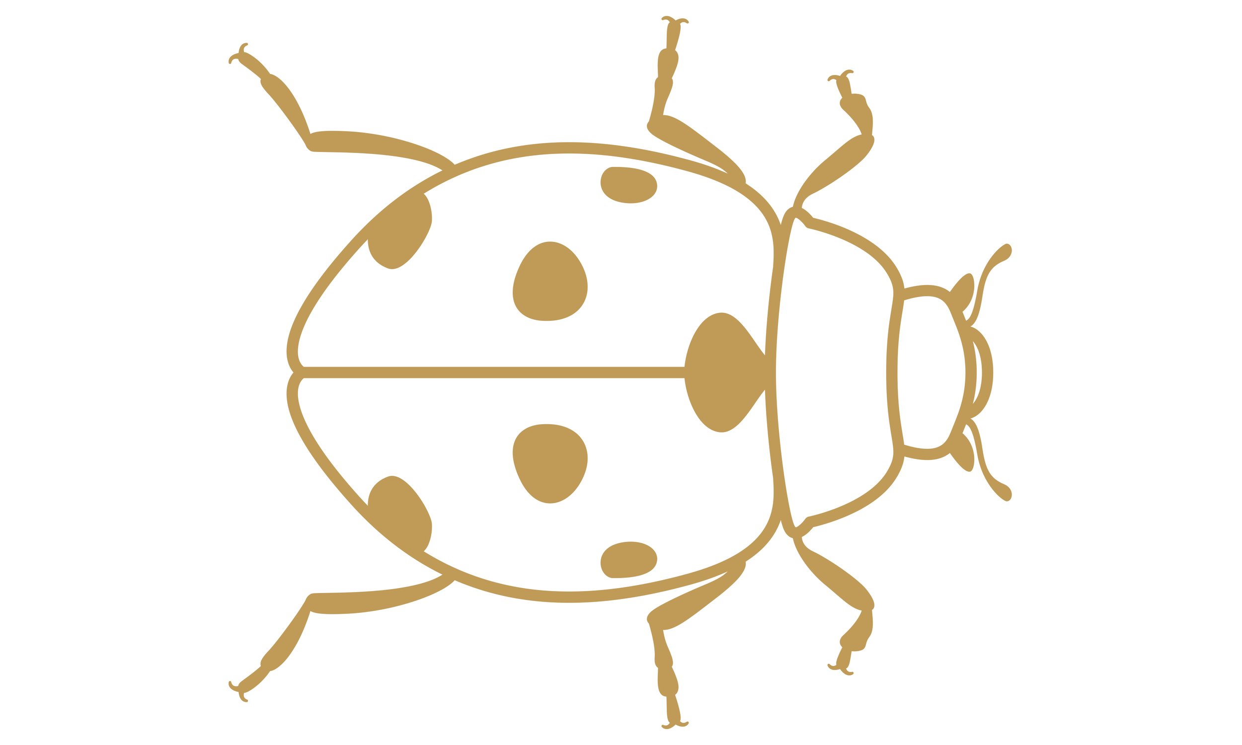 eX_de_Medici_Insects_SatinGoldx1-6.jpg