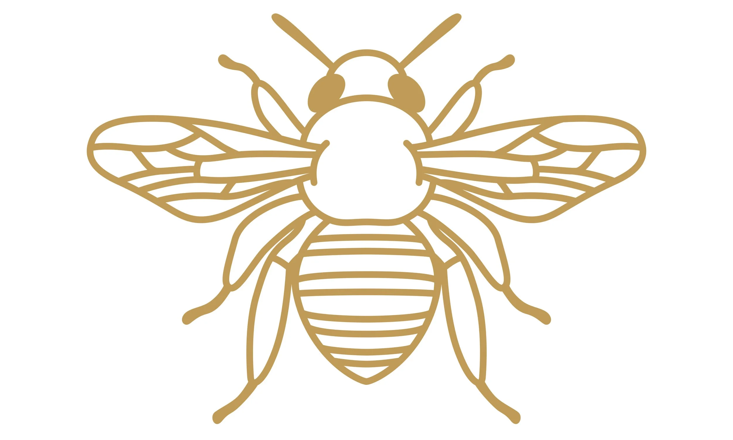 eX_de_Medici_Insects_SatinGoldx1-7.jpg