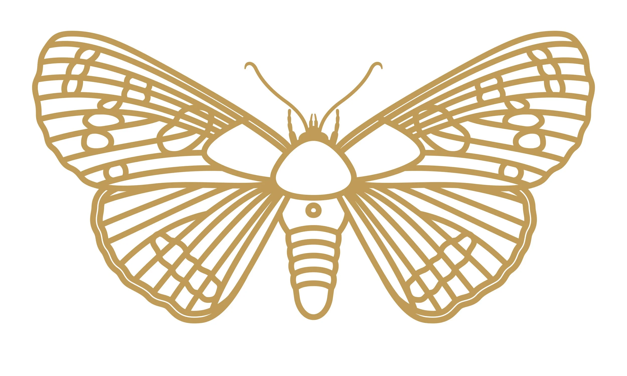 eX_de_Medici_Insects_SatinGoldx1-1.jpg