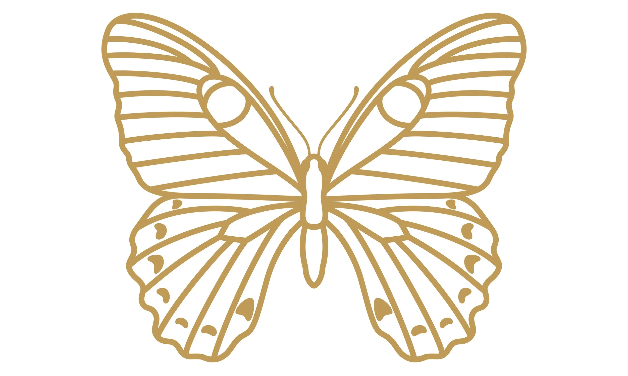 eX_de_Medici_Insects_SatinGoldx1-3.jpg