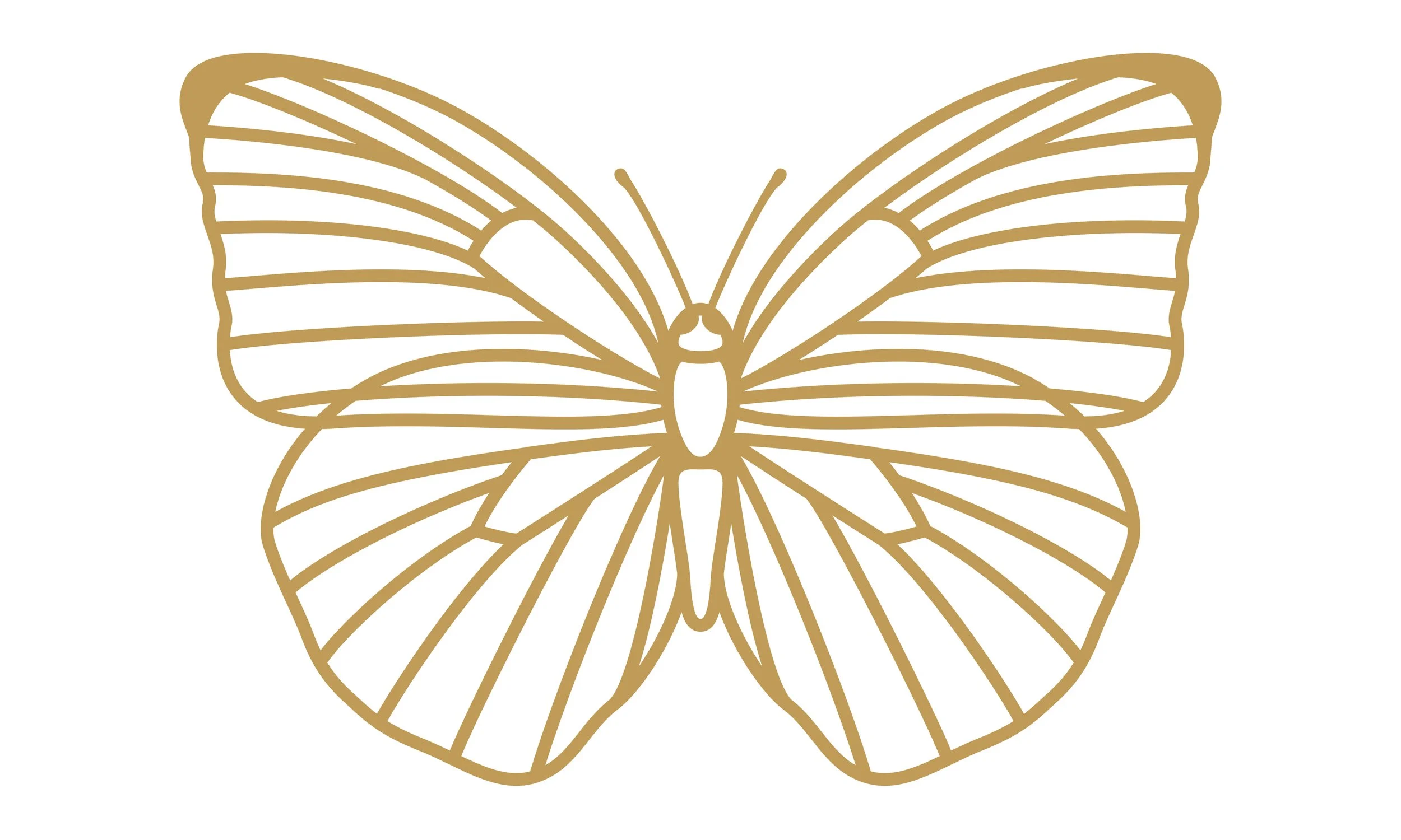 eX_de_Medici_Insects_SatinGoldx1-4.jpg