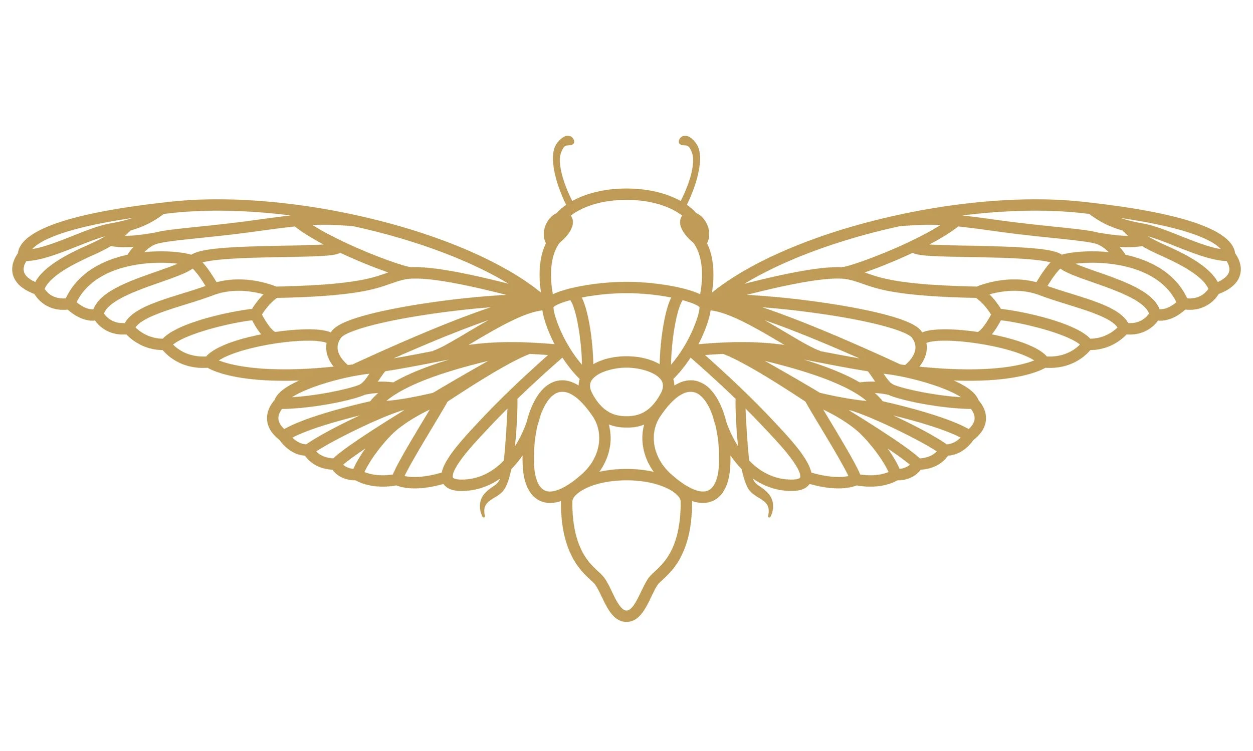 eX_de_Medici_Insects_SatinGoldx1-10.jpg