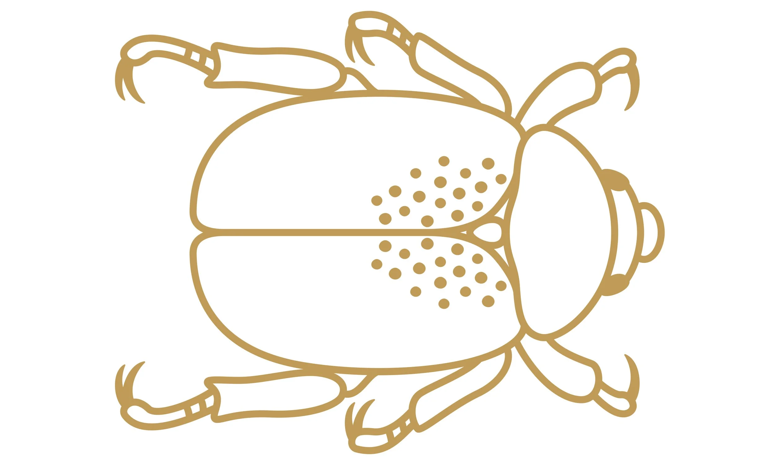 eX_de_Medici_Insects_SatinGoldx1-8.jpg