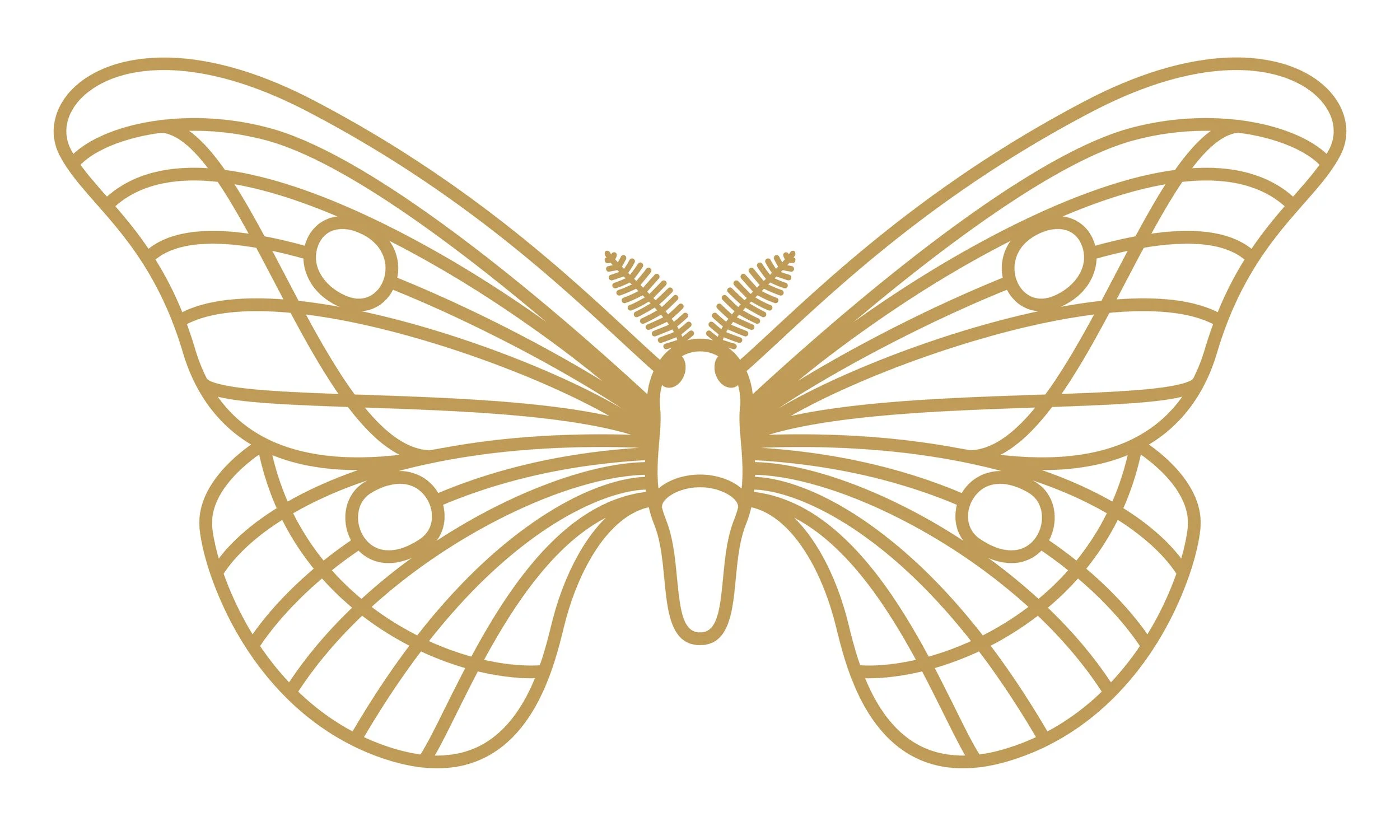 eX_de_Medici_Insects_SatinGoldx1-5.jpg