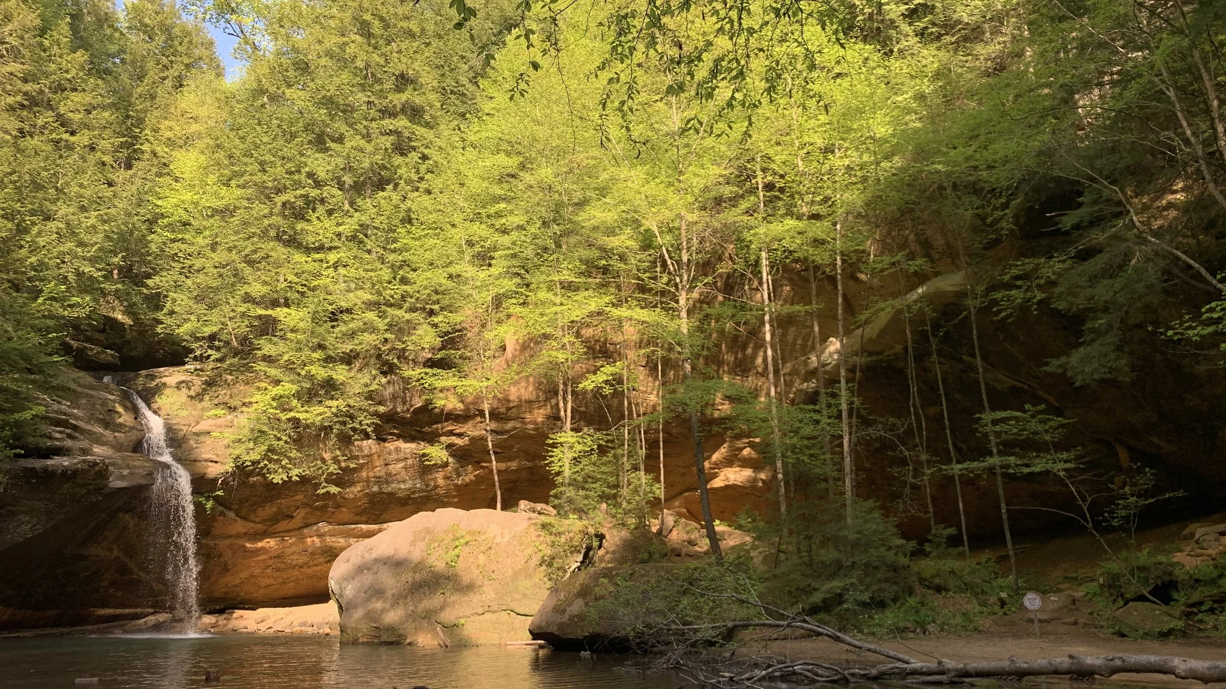 #10 A peaceful scene of a forest with a small waterfall flowing into a river, surrounded by rocks and tall trees with green leaves, under a clear blue sky.