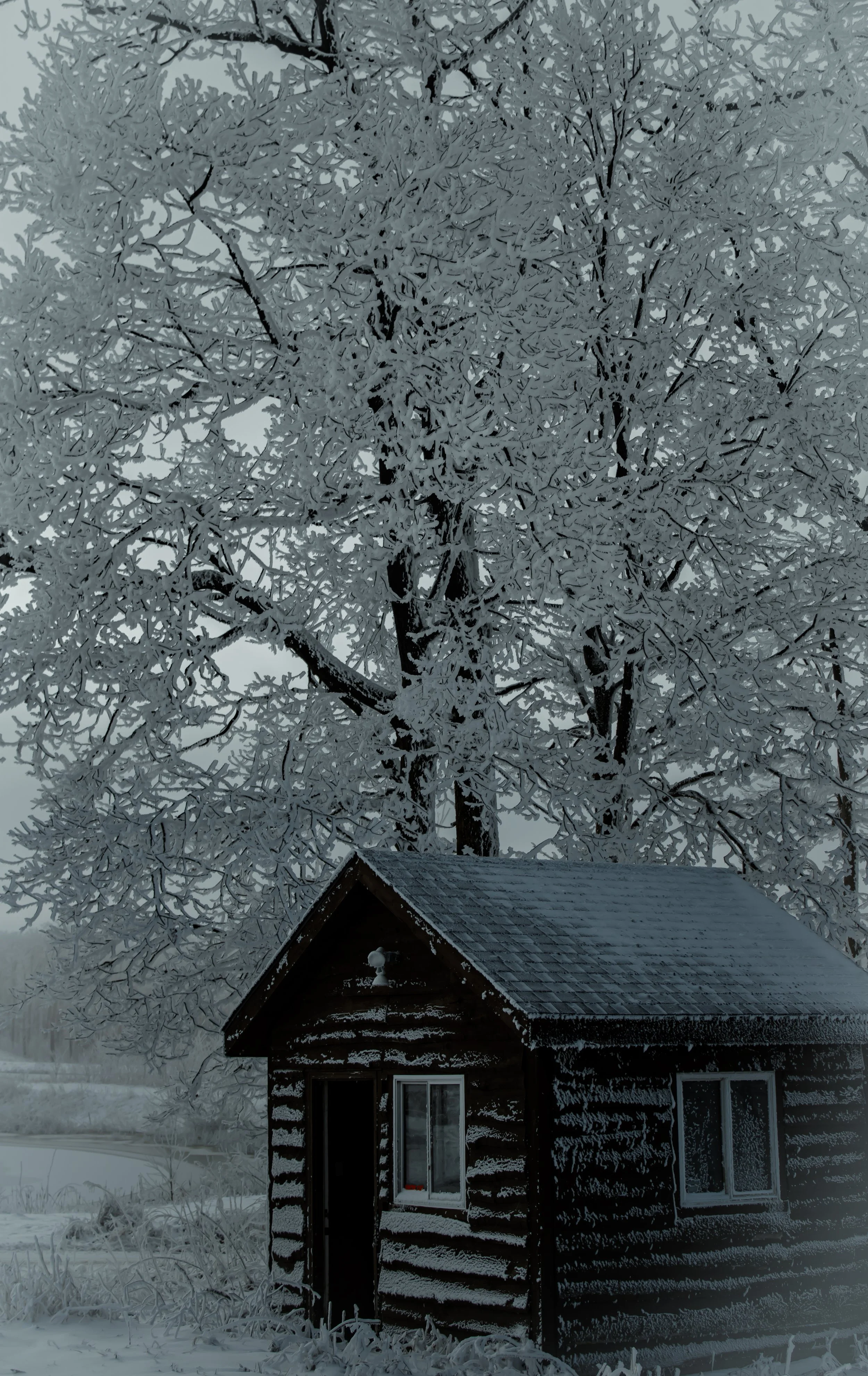 #9 A snow-covered wooden house with a triangular roof and windows, placed beneath a large tree with snow-laden branches in a snowy landscape.