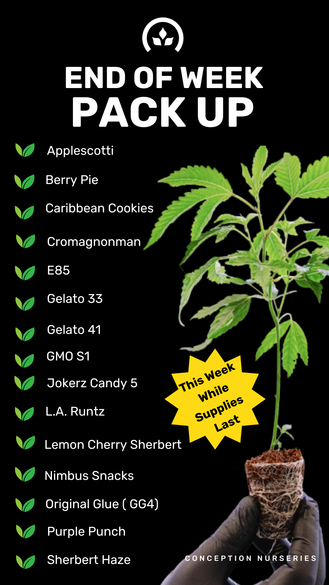 A black poster with white text at the top reading 'End of Week Pack Up' and a list of various plant strains or products with green leaf icons beside each name. The list includes Applescotti, Berry Pie, Caribbean Cookies, Cromagnonman, E85, Gelato 33,