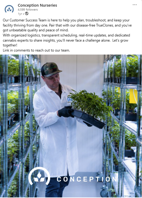 A person in a white lab coat and camouflage hat inspecting a cannabis plant in a grow room with metal shelving and illuminated grow lights.