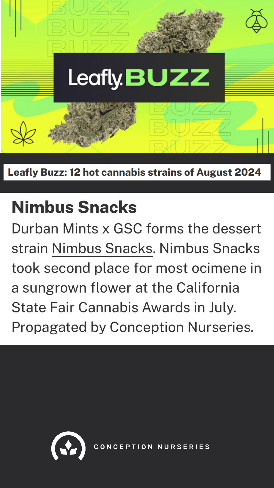 A vibrant graphic depicting cannabis buds and the Leafly Buzz logo with a lime green background. The text explains that Nimbus Snacks, a strain created by Durban Mints and GSC, took second place at the California State Fair Cannabis Awards in July, p