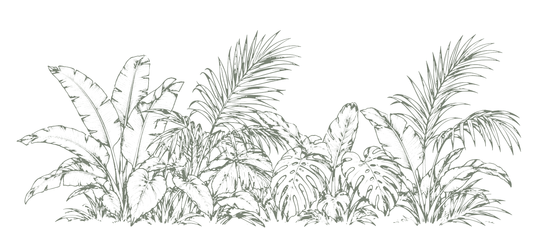 Tropical wedding and events venue at The Zanzoo Estate in Cairns, Queensland.
