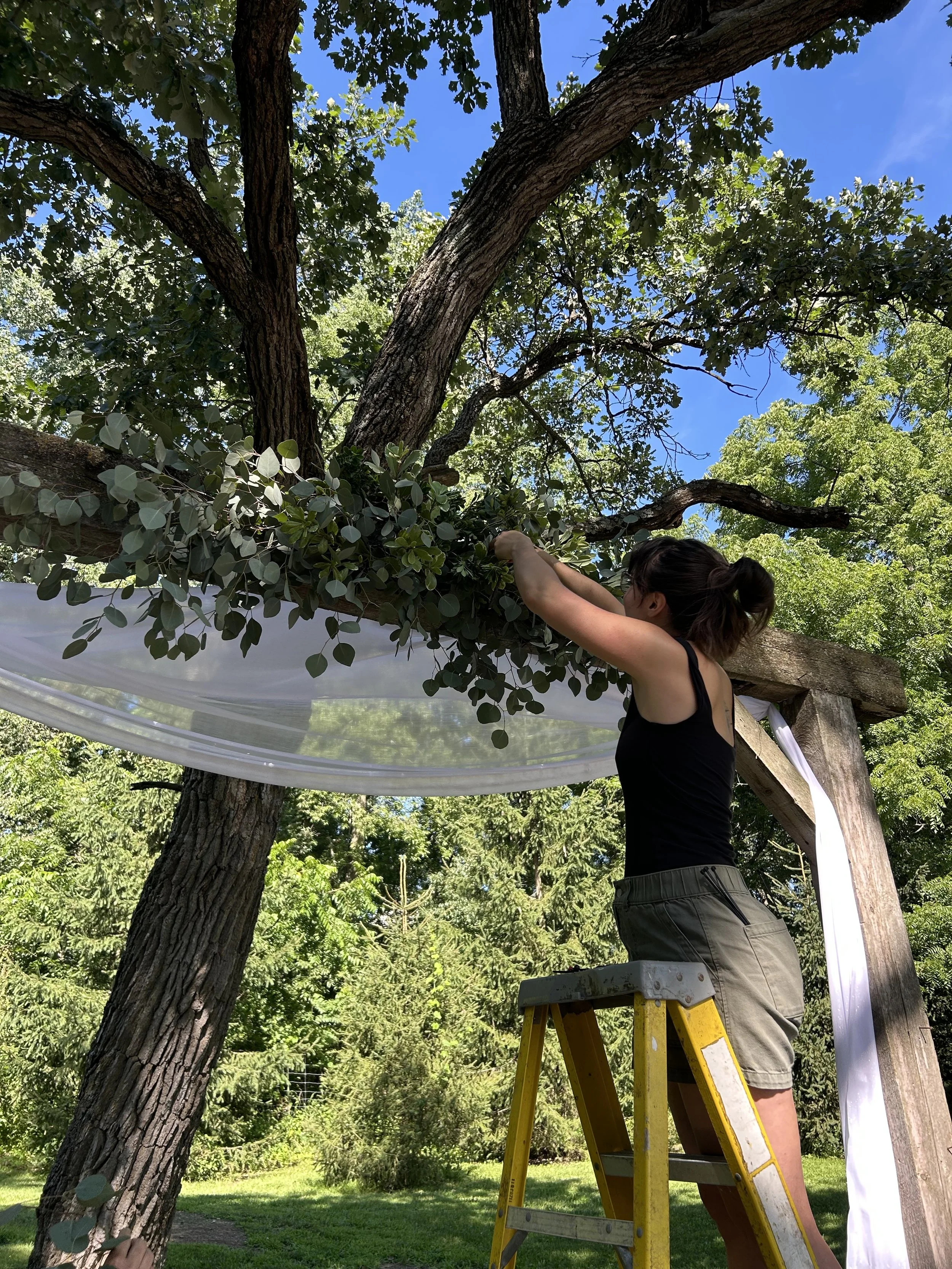 A woman standing on a ladder decorating a wooden wedding arch with eucalyptus on a sunny day.