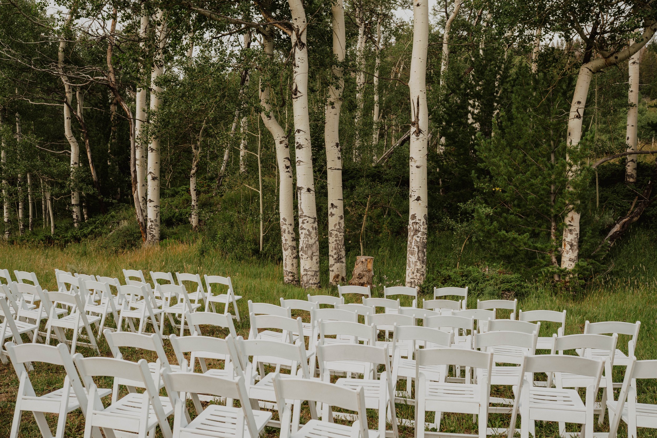 Set of white chairs arranged outdoors facing a dense forest of tall white-barked aspen trees with green foliage.