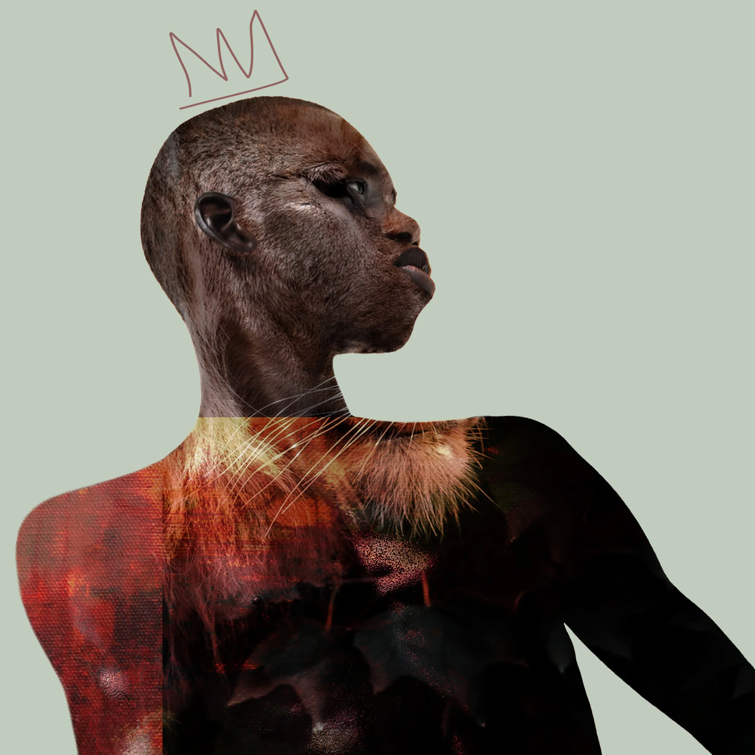 Crown01MomoWeb.jpg