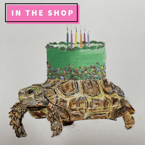 Party Turtle
