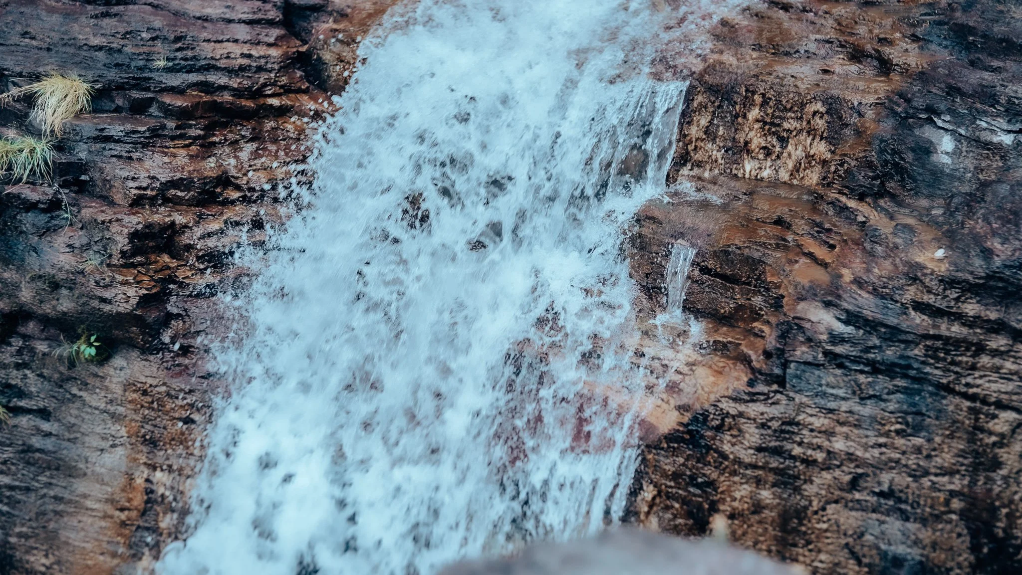 _DSC4560.JPG