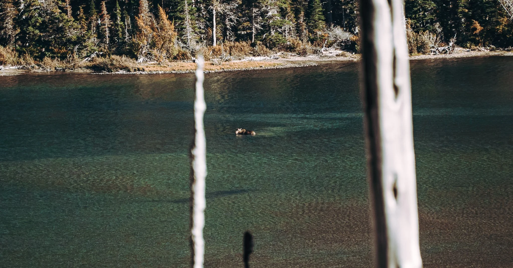 _DSC4575.JPG