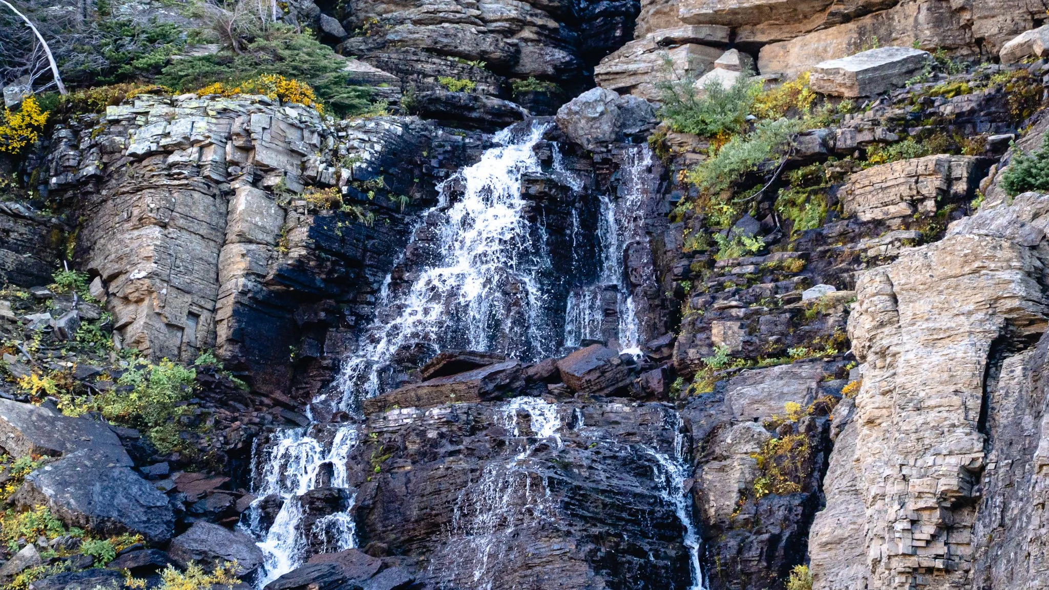 _DSC4592.JPG