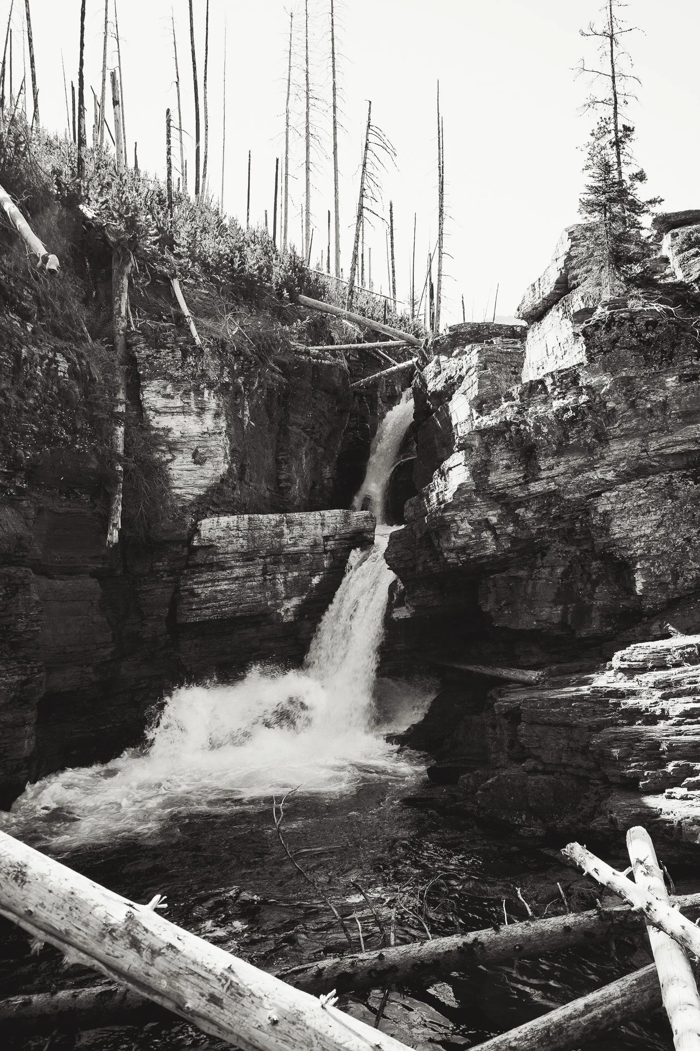 DSC00357.JPG