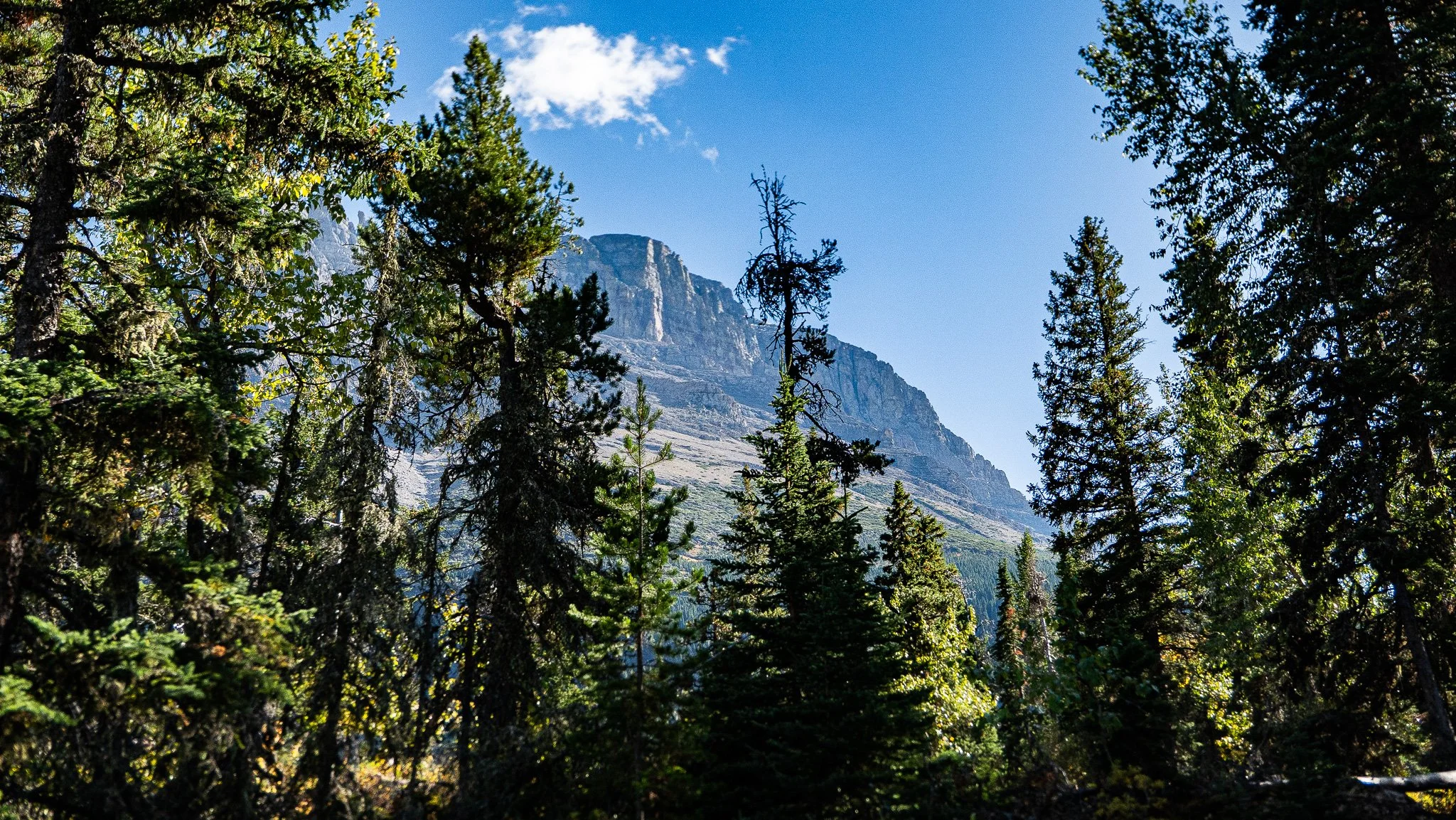 _DSC4551.JPG