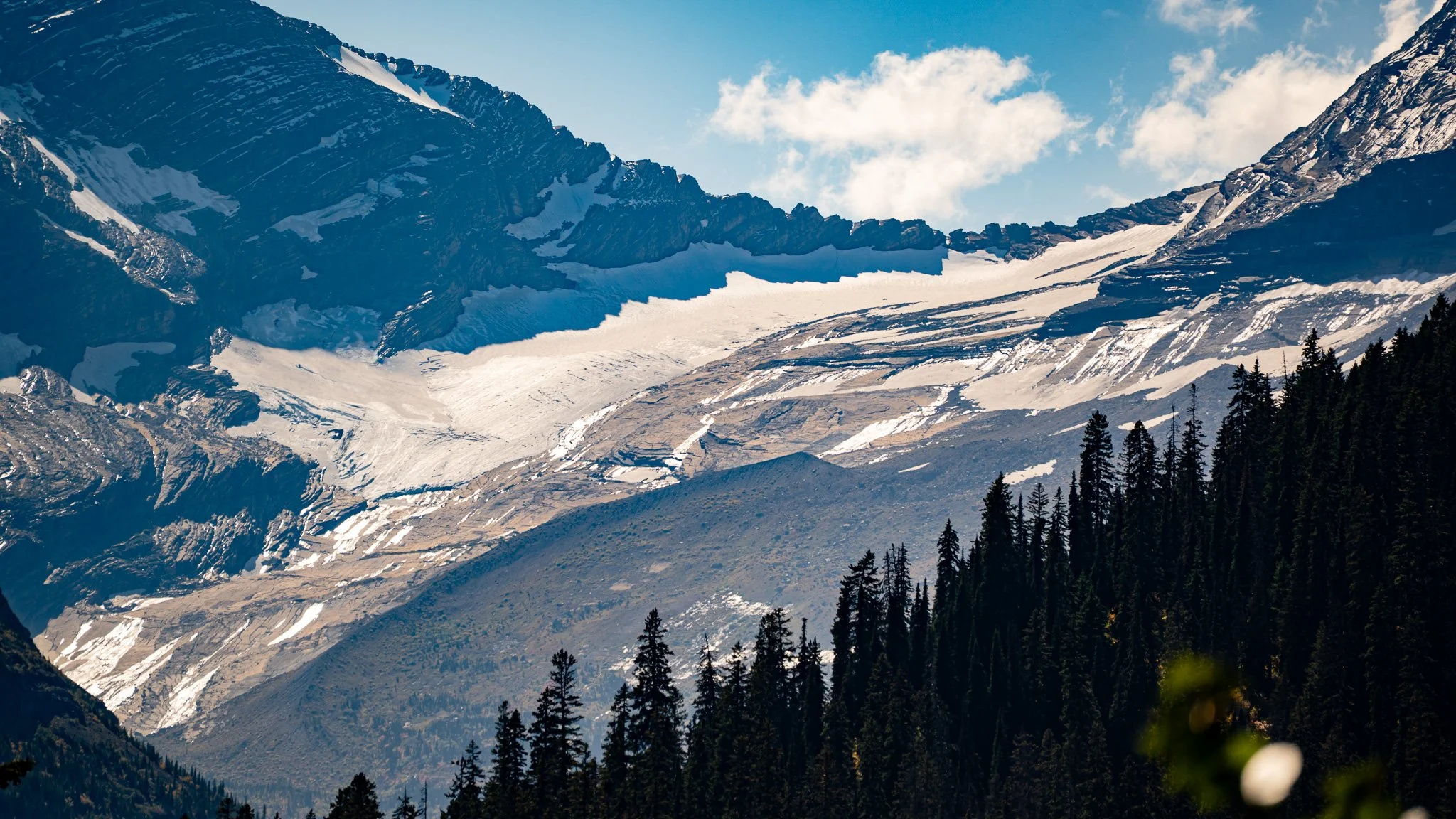 _DSC4516.JPG
