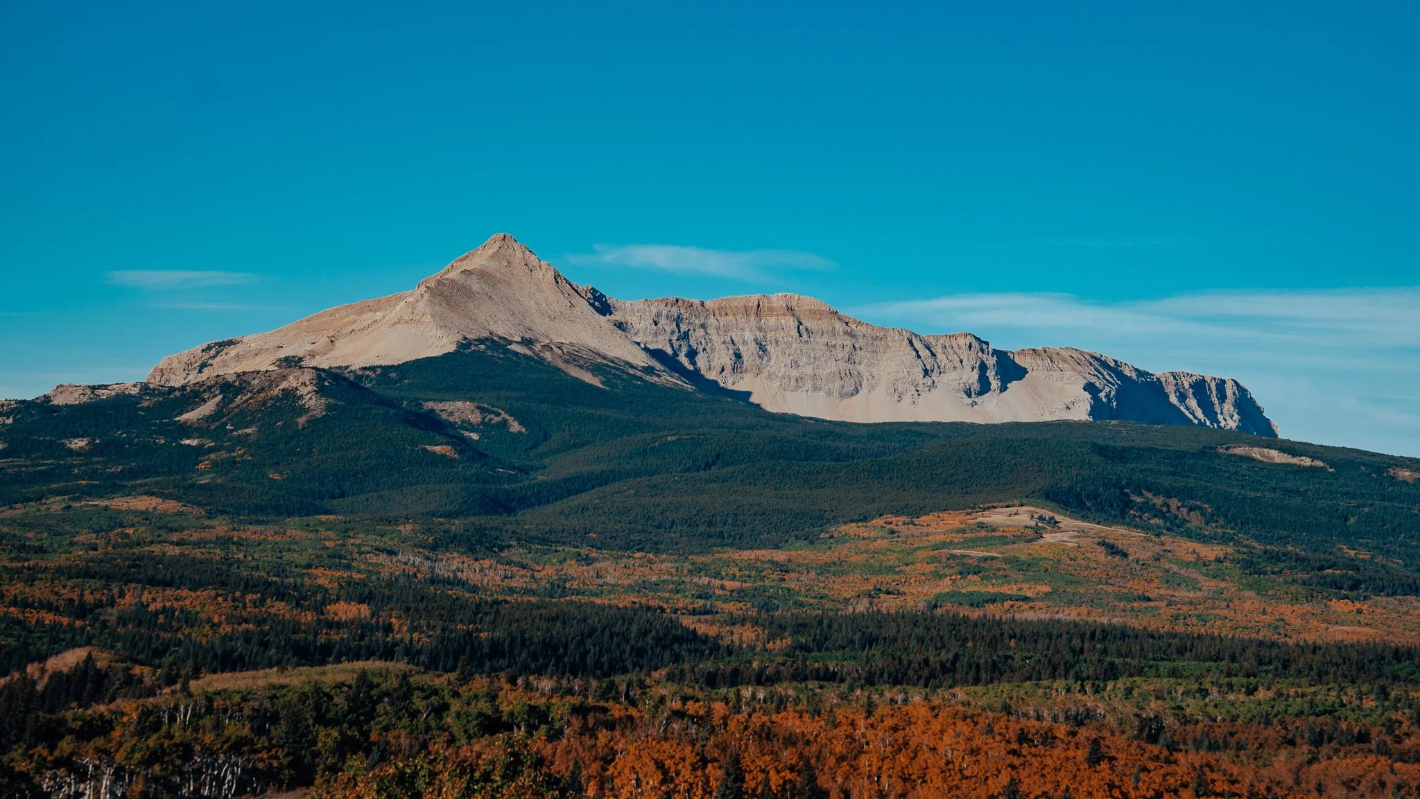 _DSC4663.JPG
