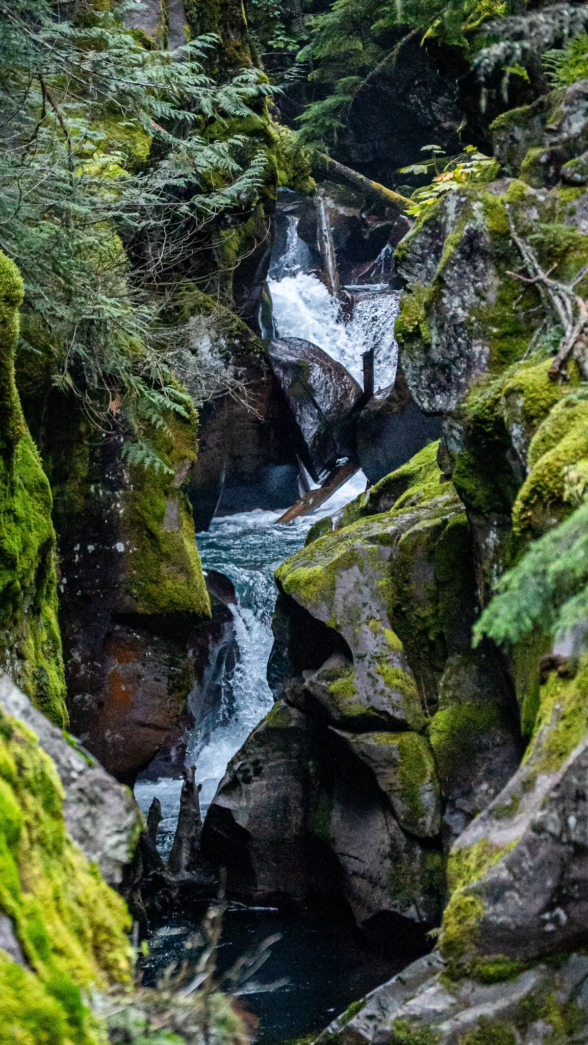 _DSC4594.JPG