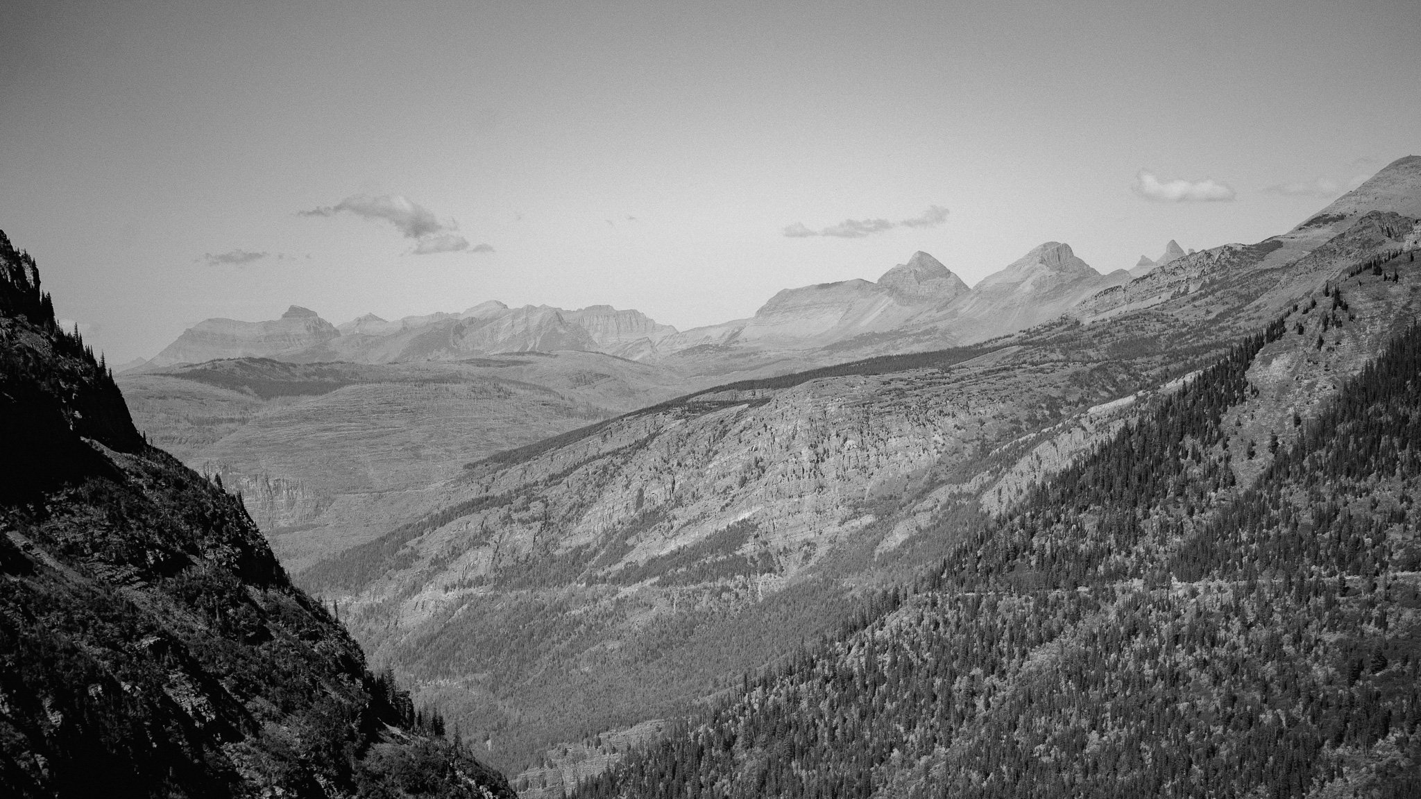 _DSC4513.JPG