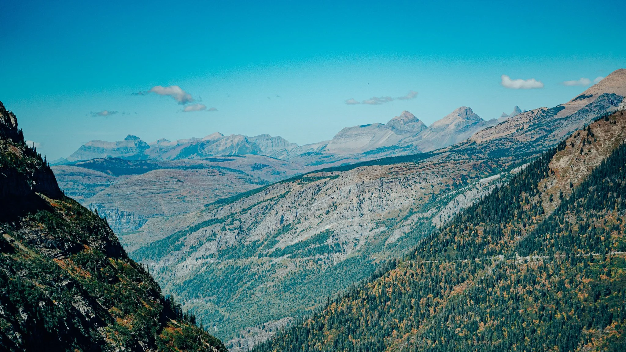 _DSC4513-2.JPG