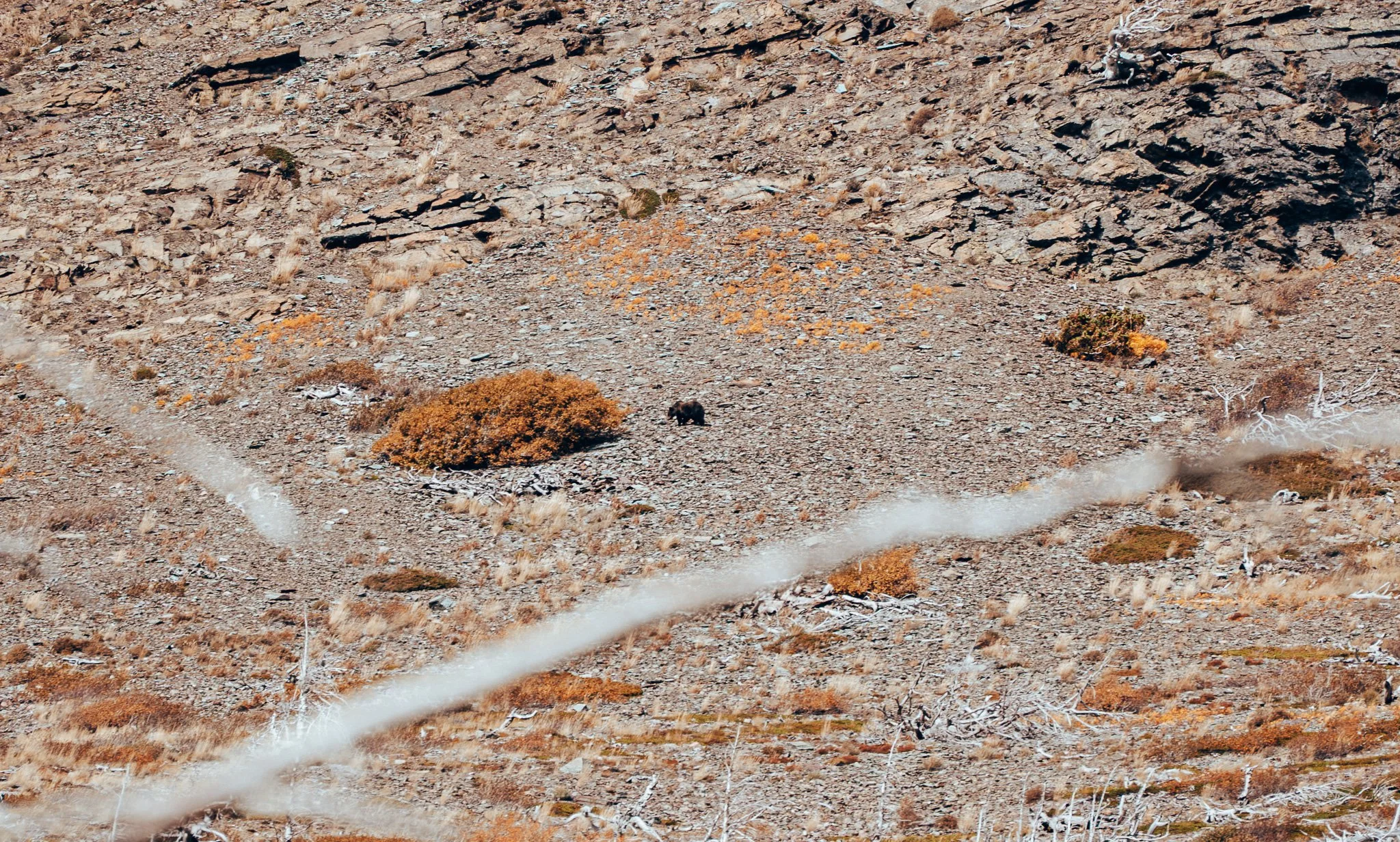 _DSC4653.JPG