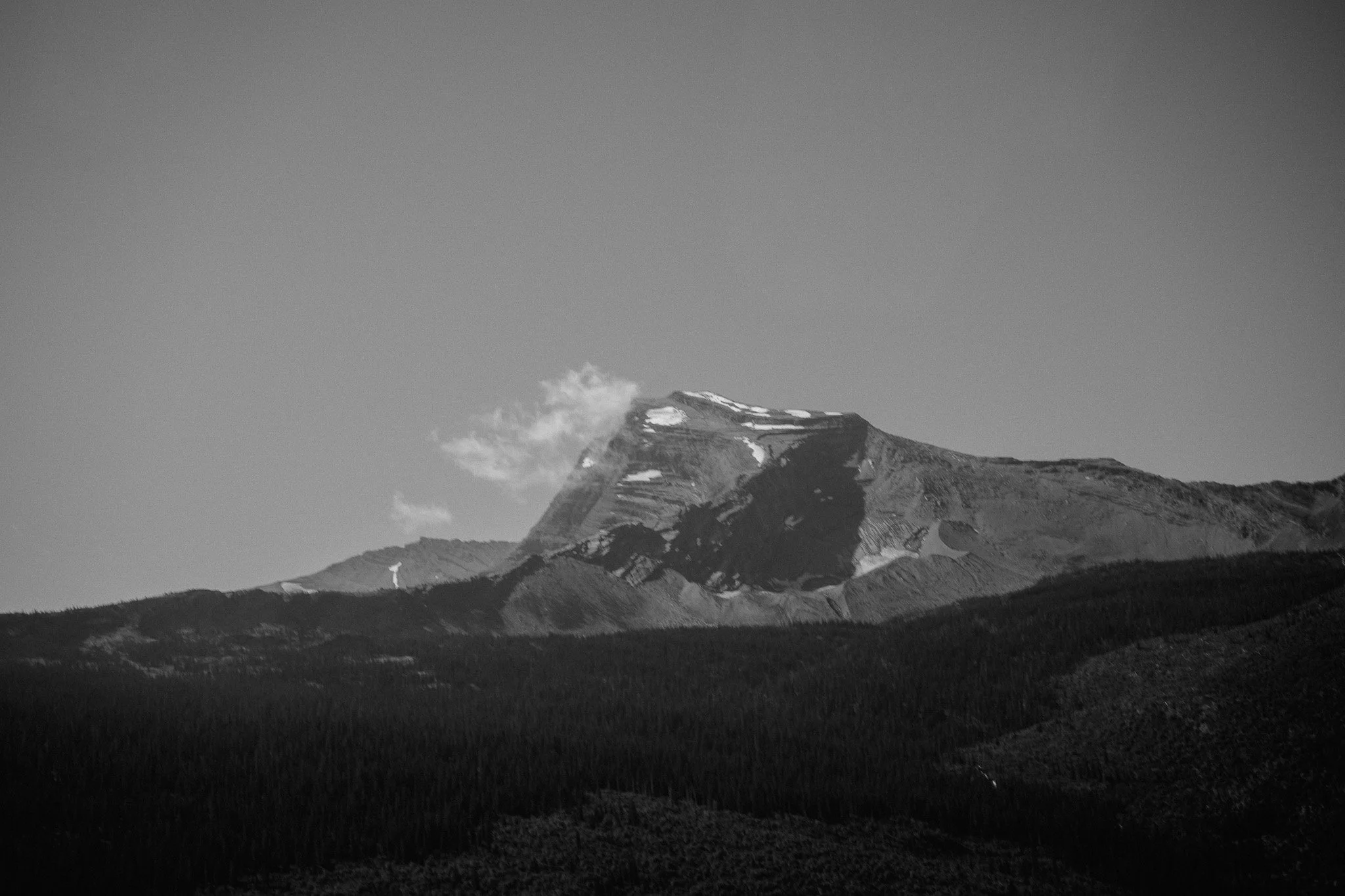 DSC00297.JPG