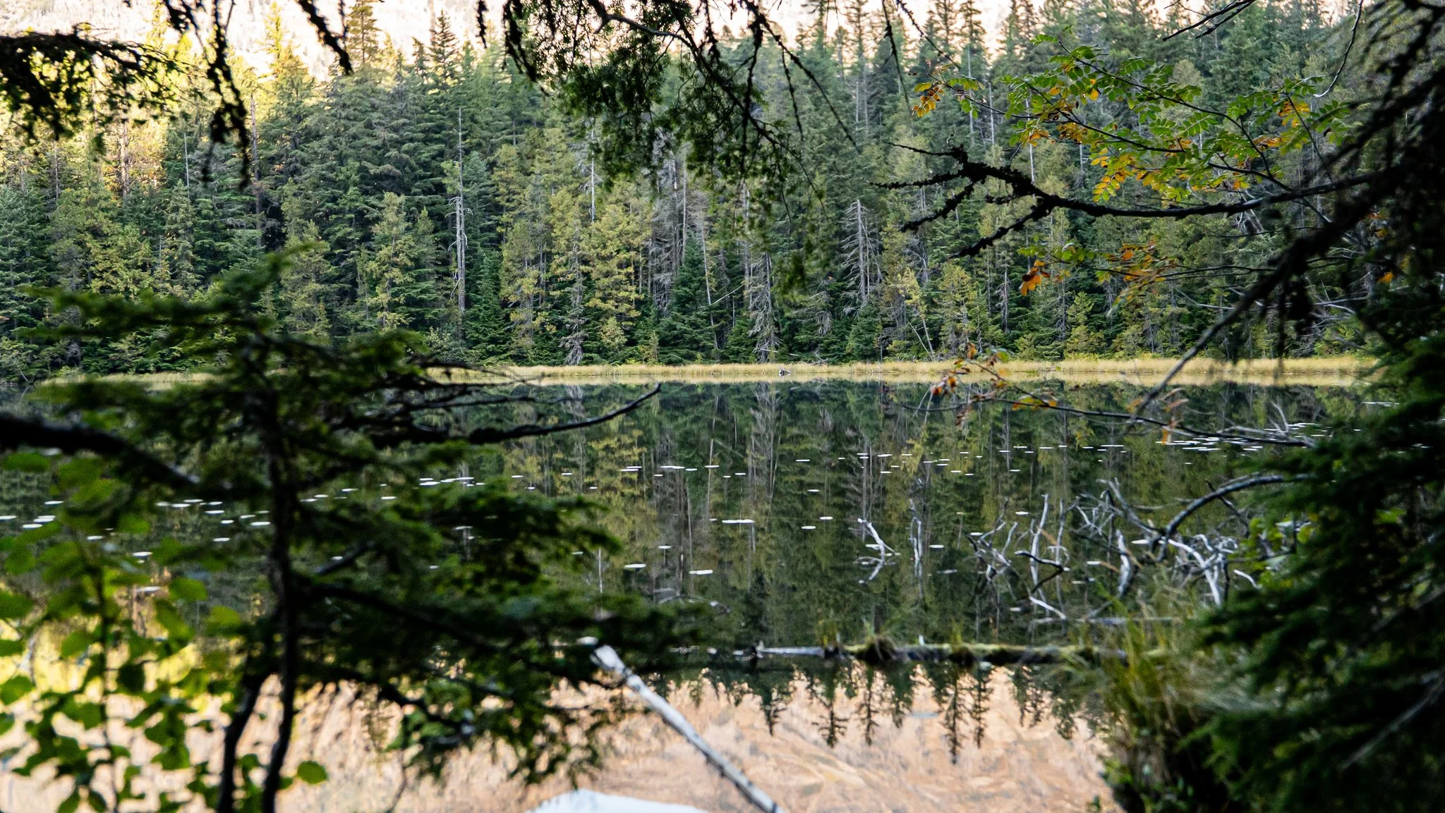 _DSC4452.JPG