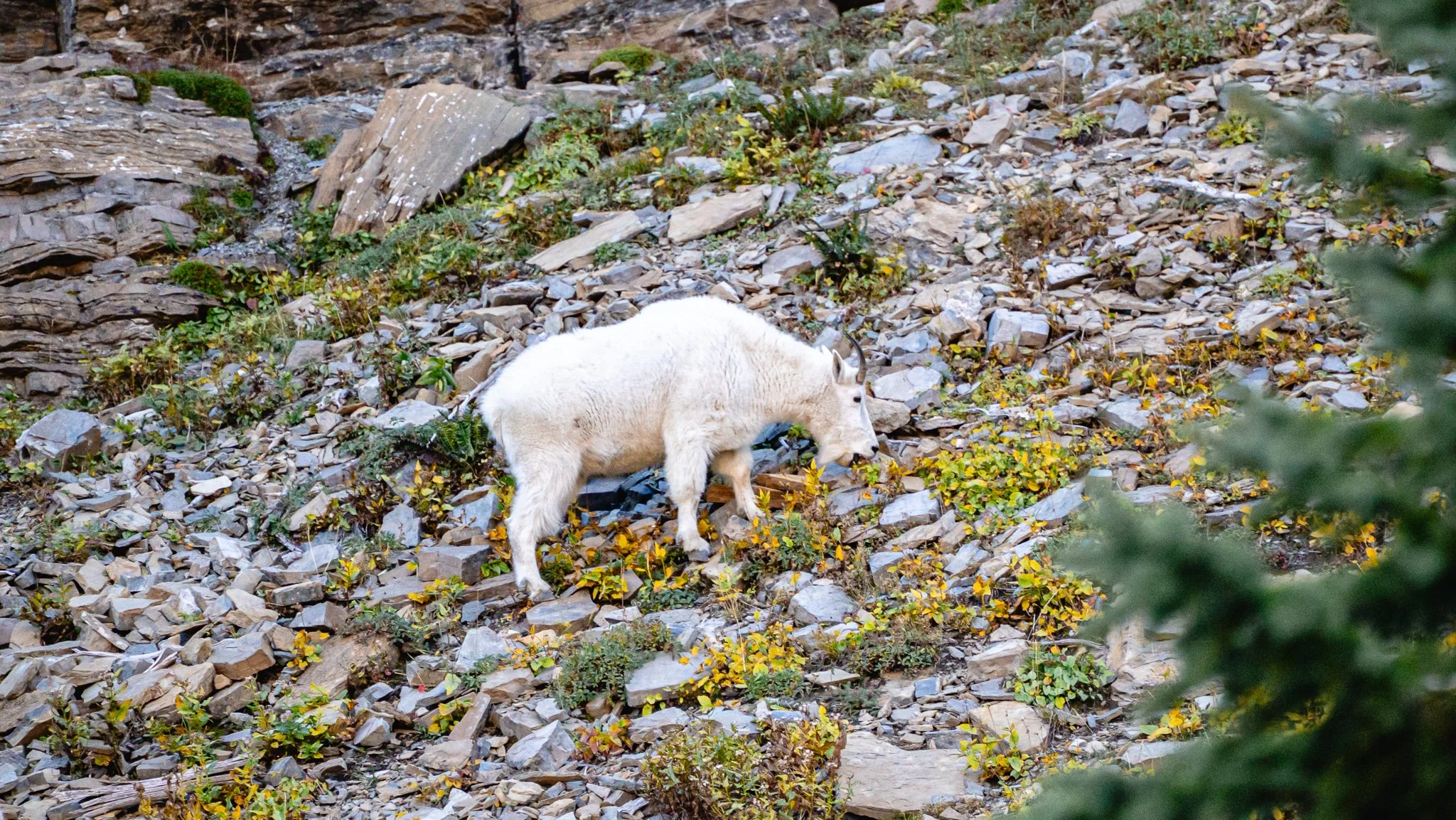 _DSC4588.JPG