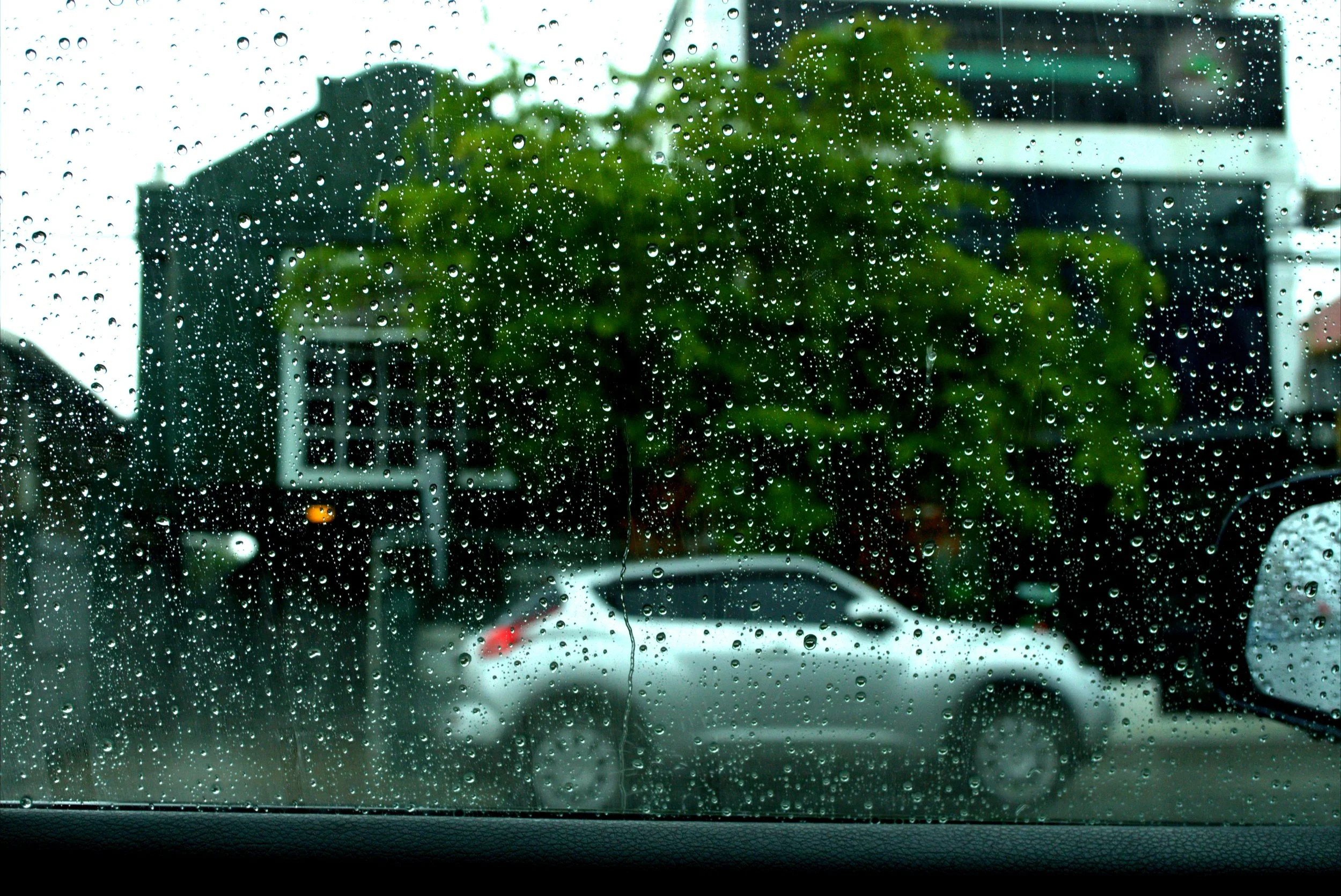Photo Album 1 - 00000031.jpg