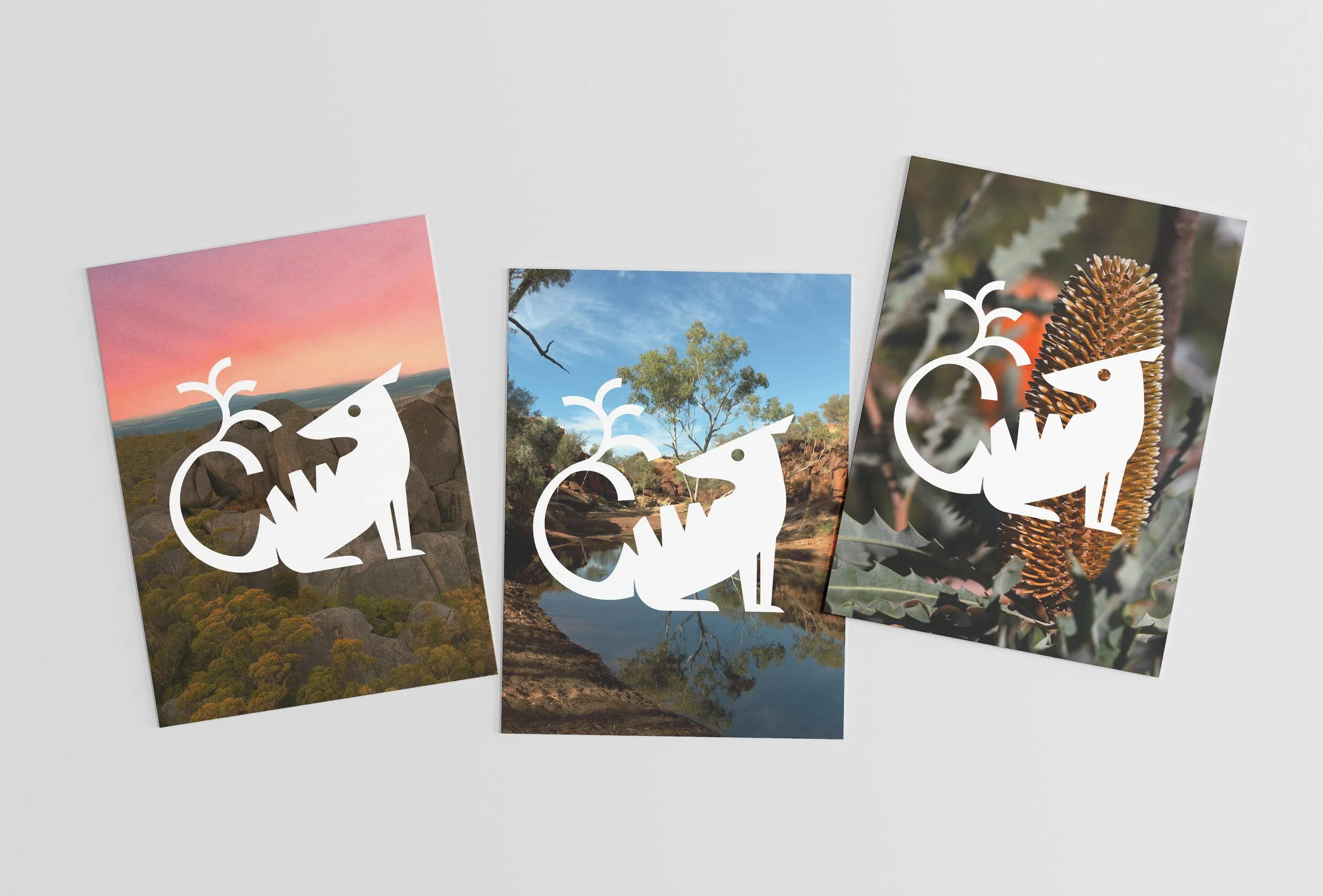3 Postcard Mockups.jpg