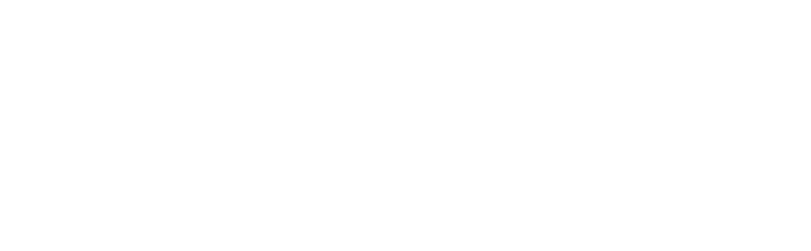 STONEJOY