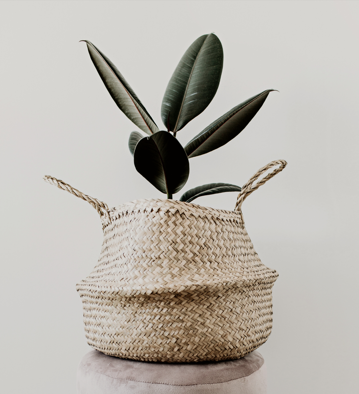 Best Artificial Plants &amp; Greenery for Your Home
