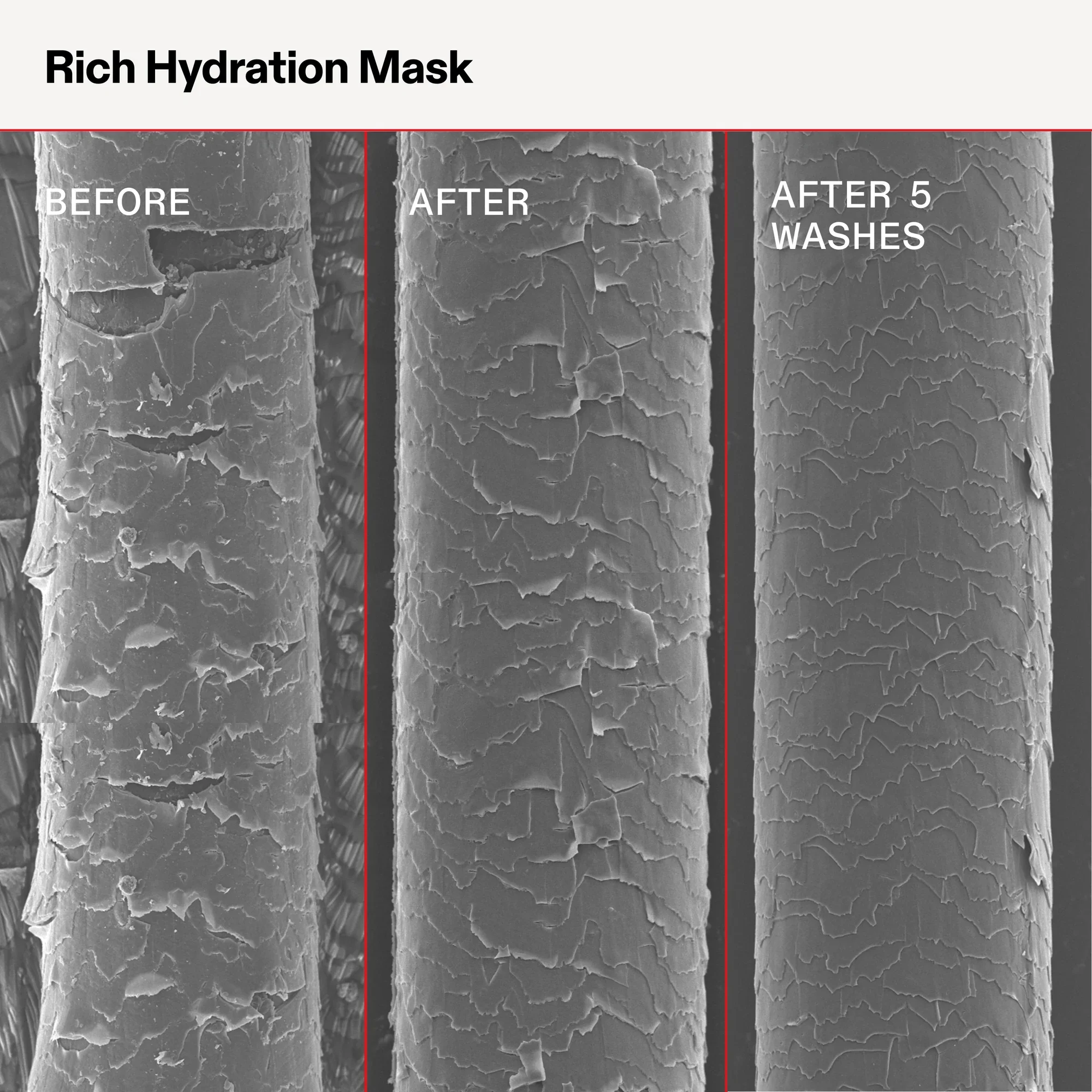 2025_RICH_MASK_INFOGRAPHIC_BA_MACRO_US_8_1 (1).webp