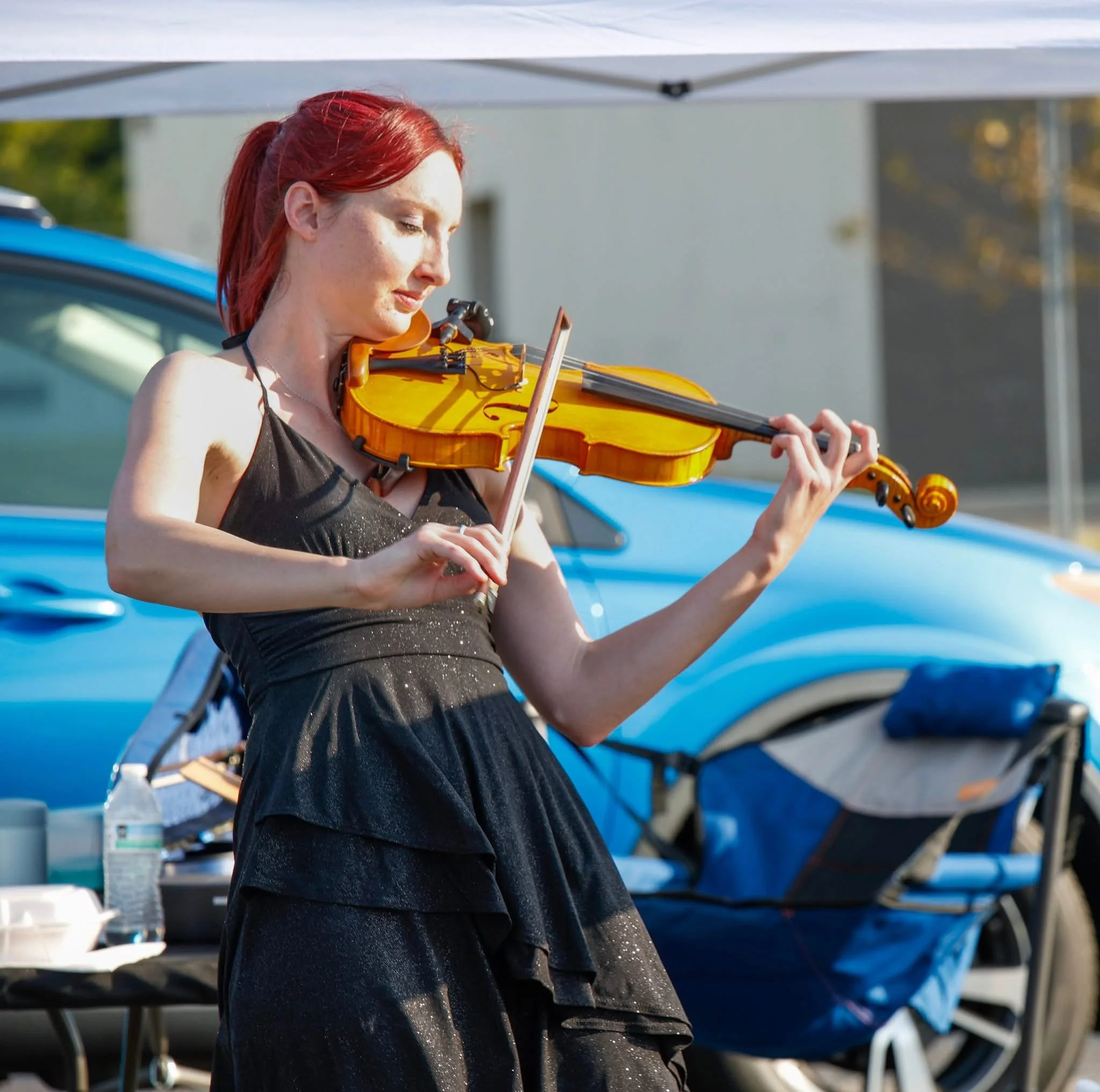Live Violin Music for Events