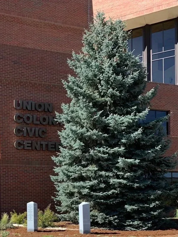 A large evergreen tree in front of the Union County Civic Center building with red brick exterior and dark windows.