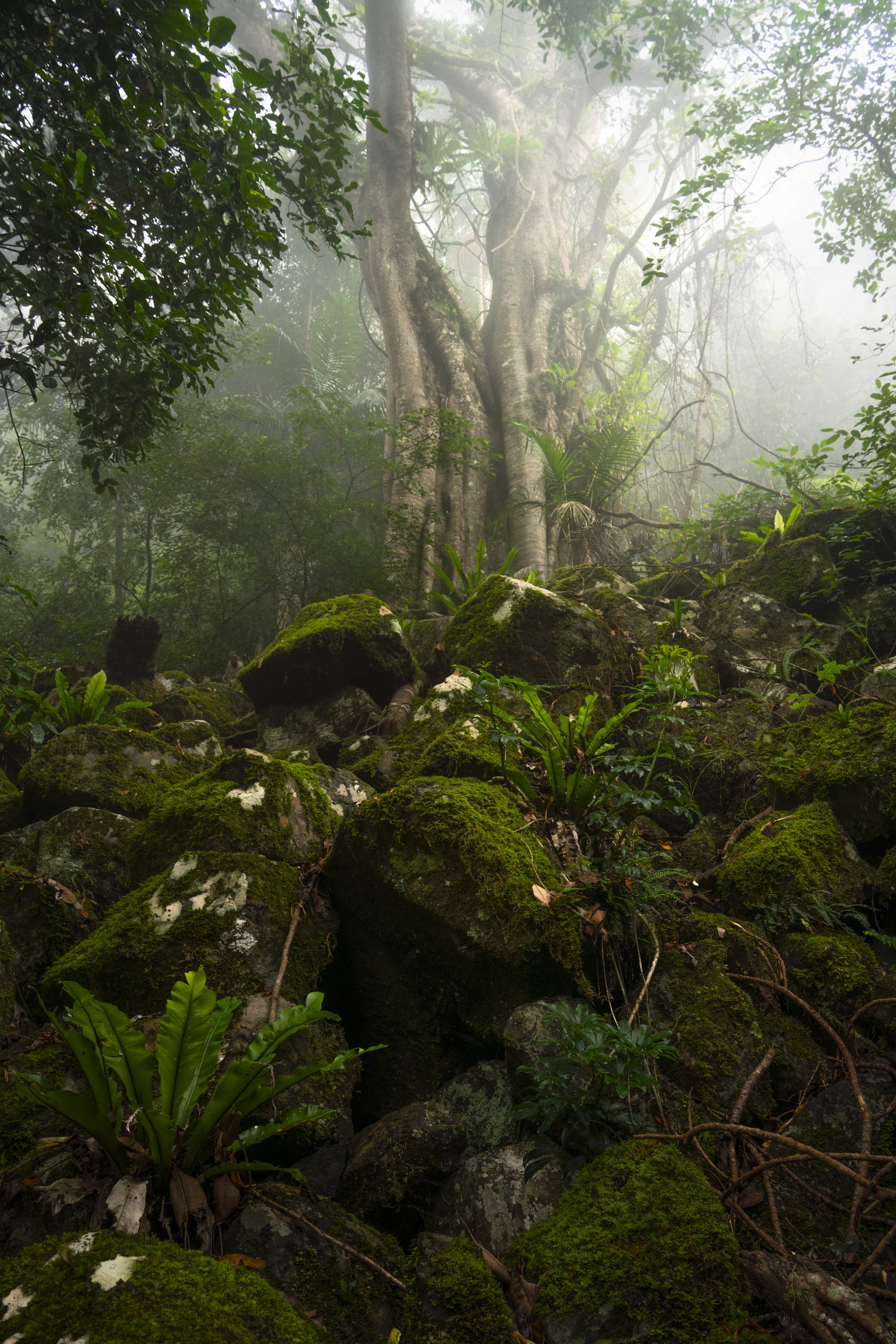 DSC05806-Edit.jpg