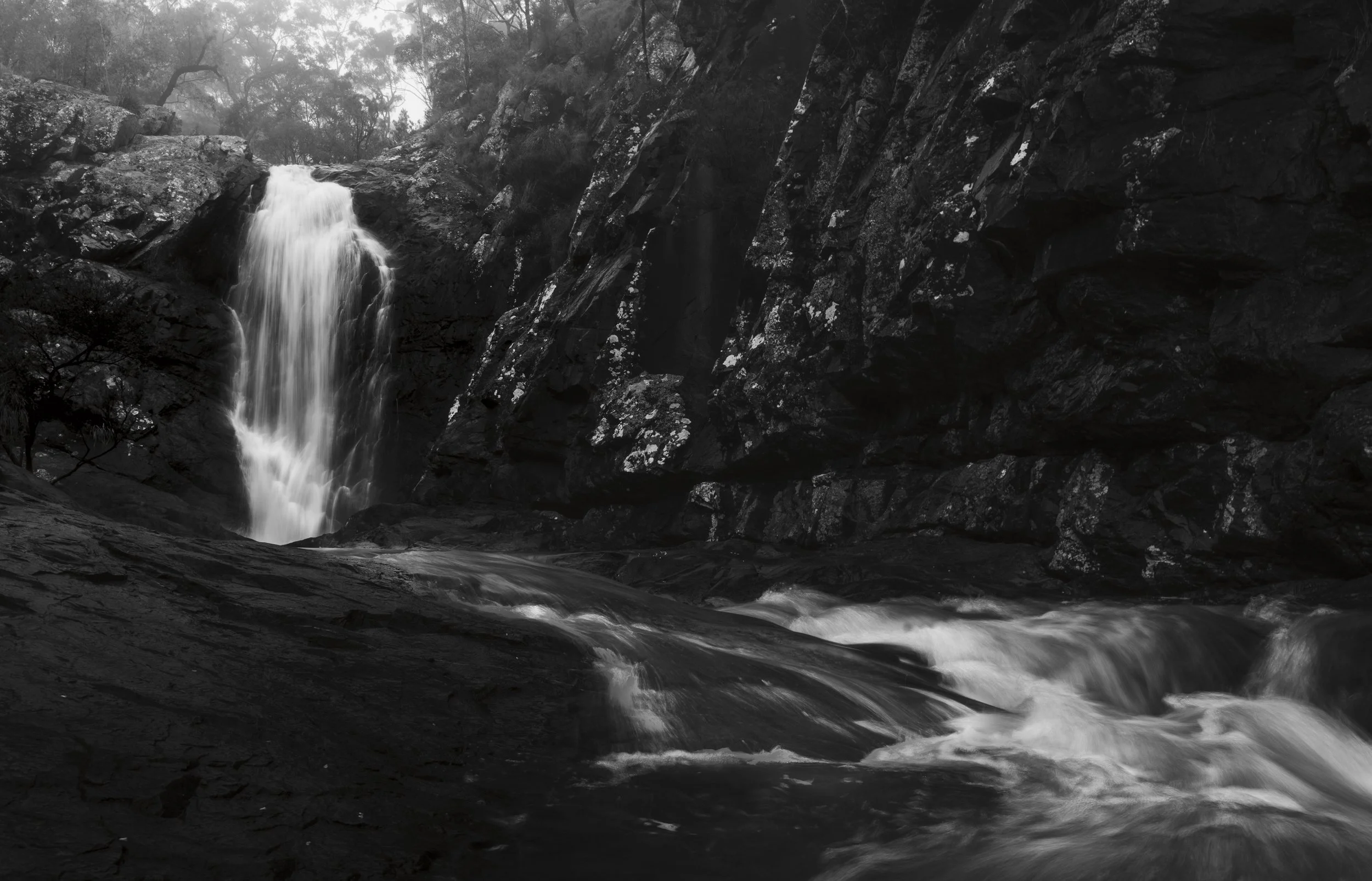 DSC07248-Edit.jpg