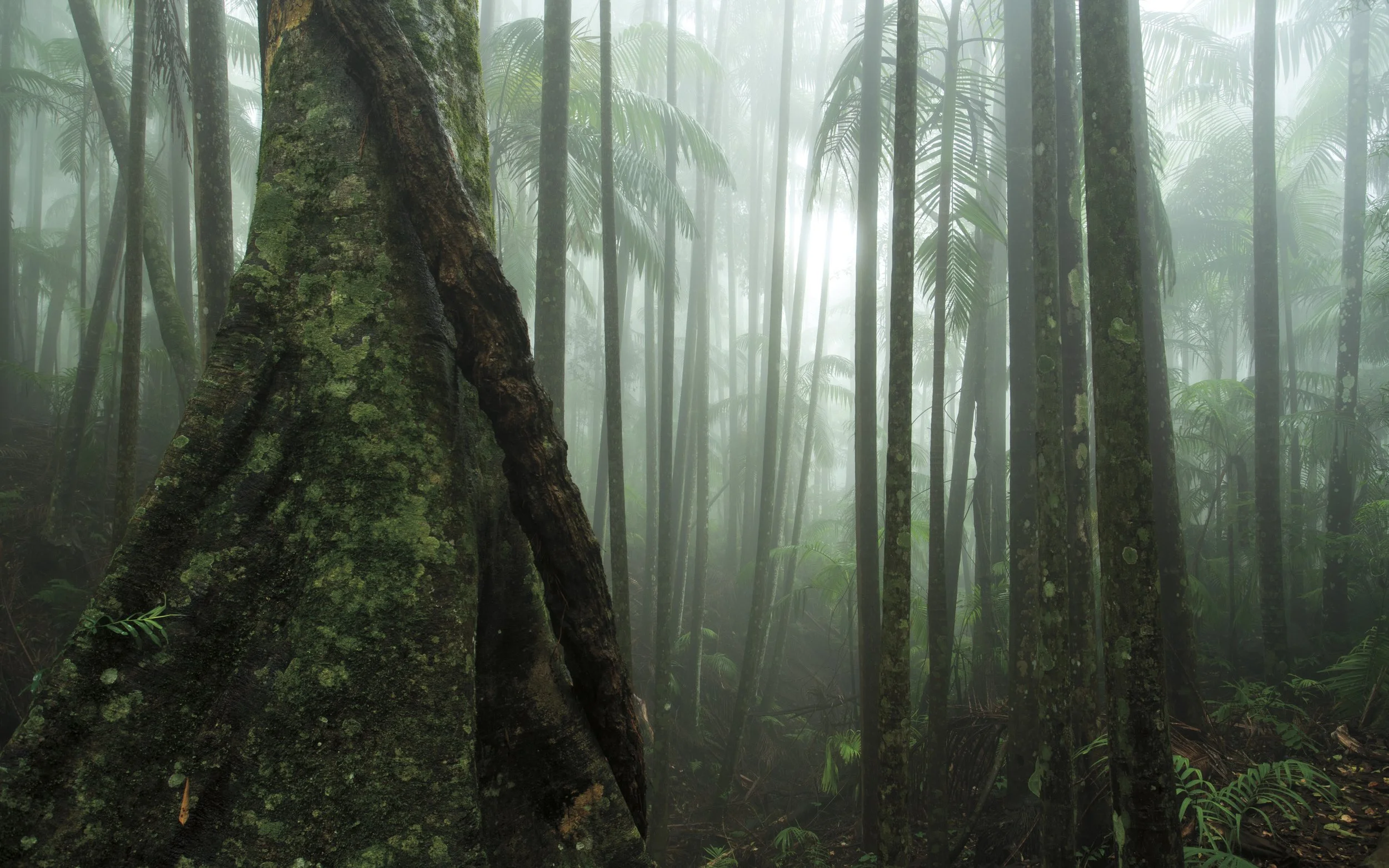 DSC02117-Edit.jpg