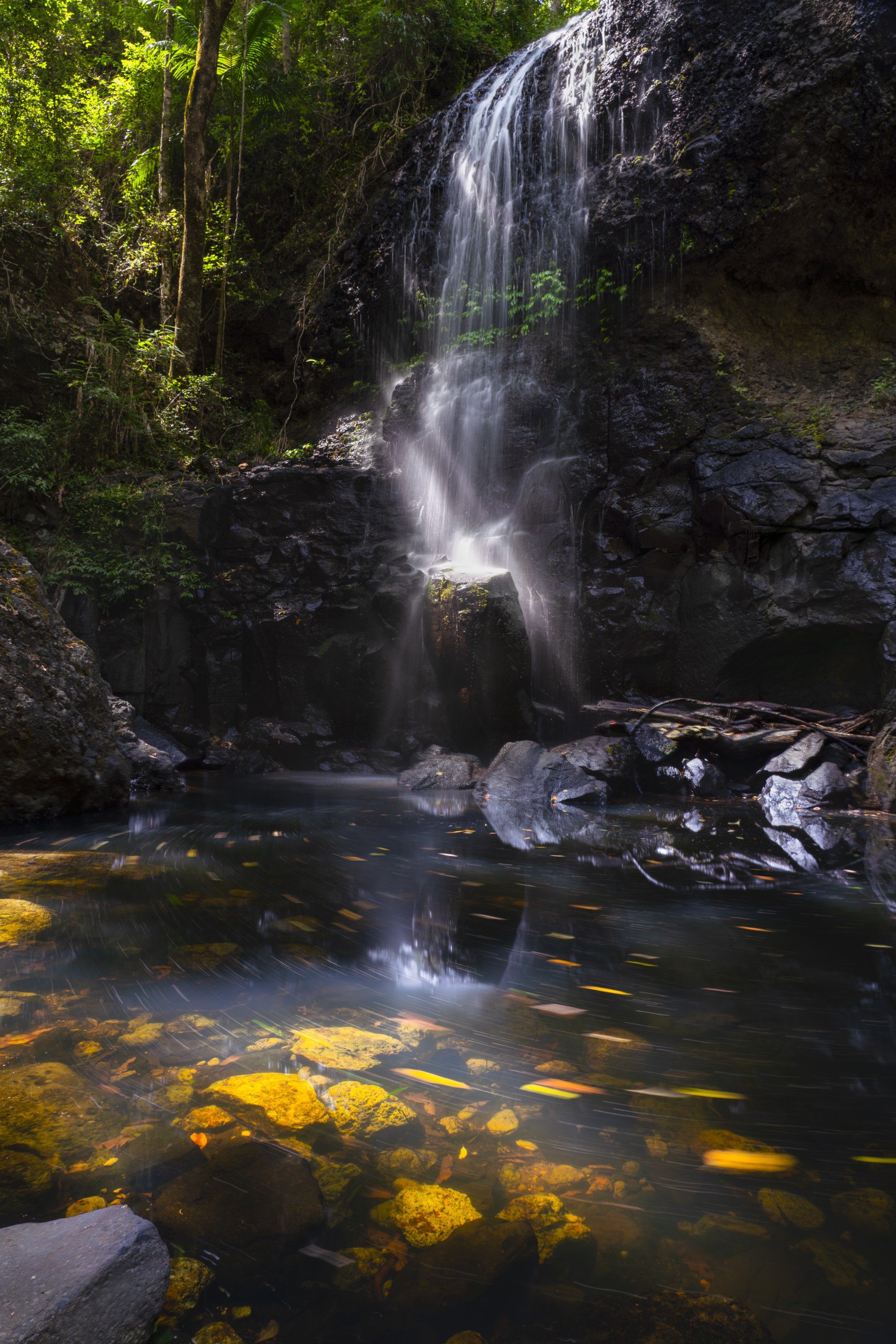 DSC02855-Edit.jpg