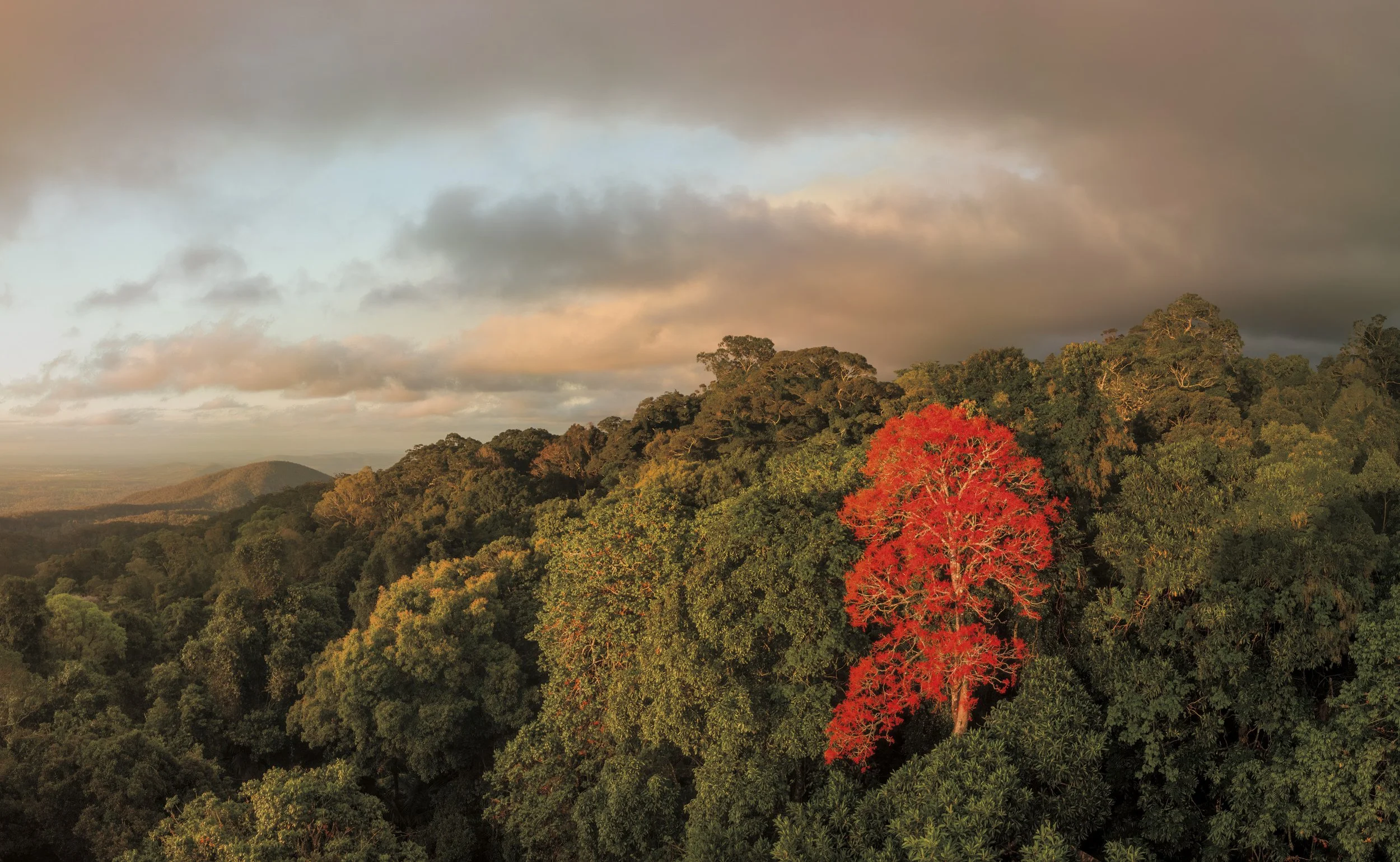DJI_0516-Pano-Pano-Edit-Edit-2-Edit.jpg