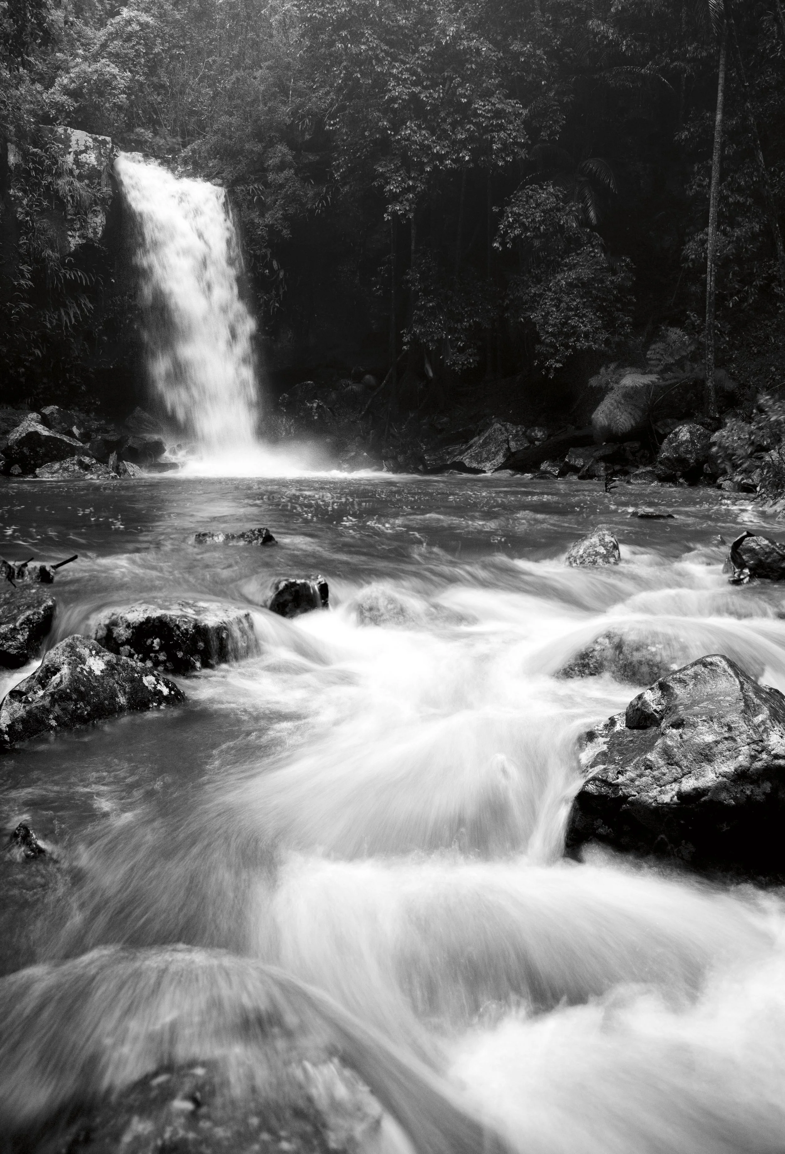 DSC09374-Edit-Edit.jpg