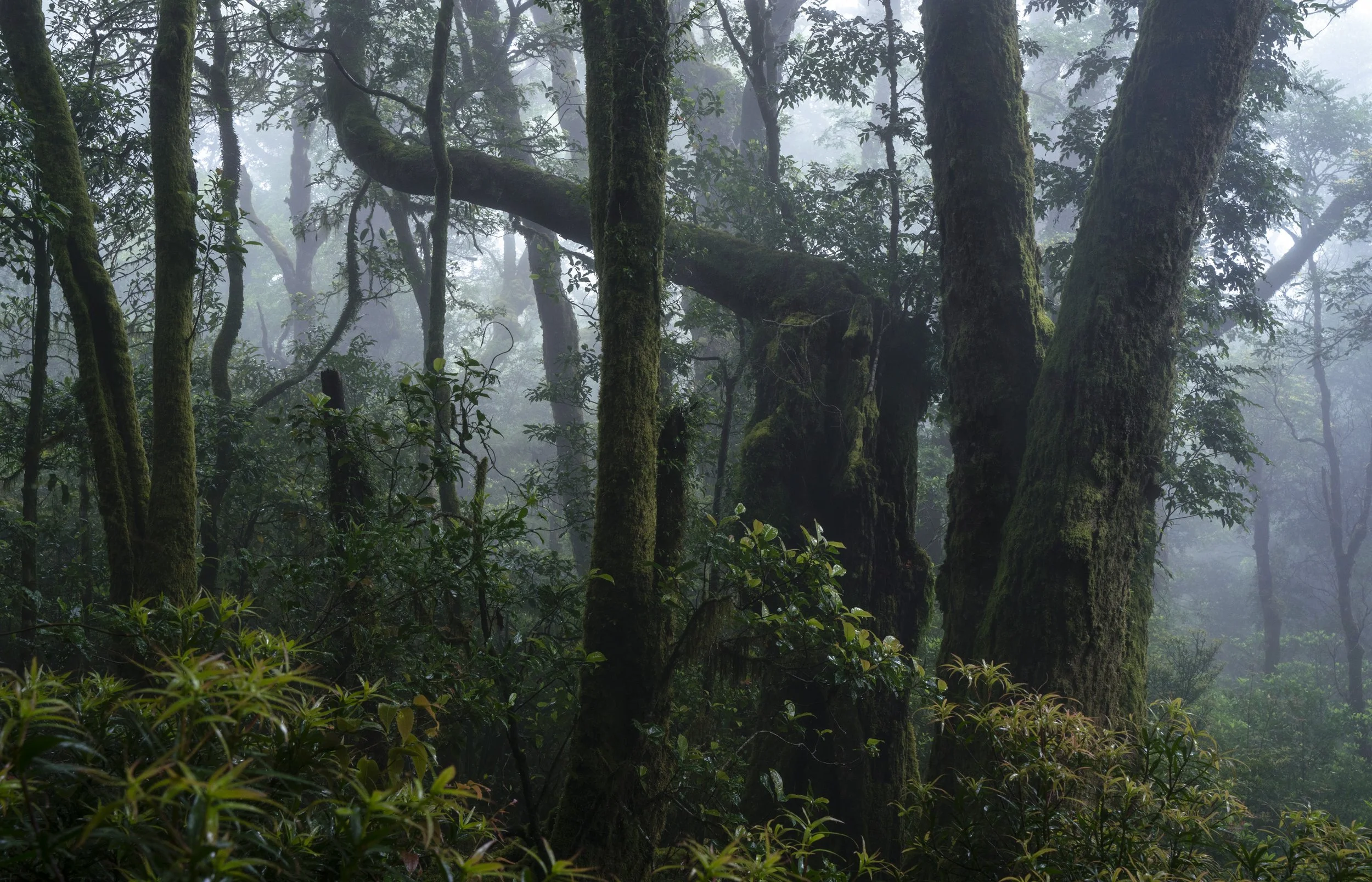 DSC09394-Edit.jpg